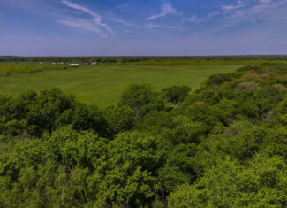 North Texas Hill Country Residential Land in Montague County 20 acre Residential Tract