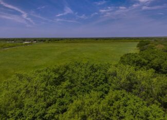 20 ac Prime North Texas Residential Land in Montague County, TX