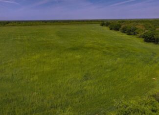 20 ac Prime North Texas Residential Land in Montague County, TX