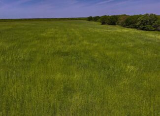 20 ac North Texas Hill Country Residential Land in Montague County