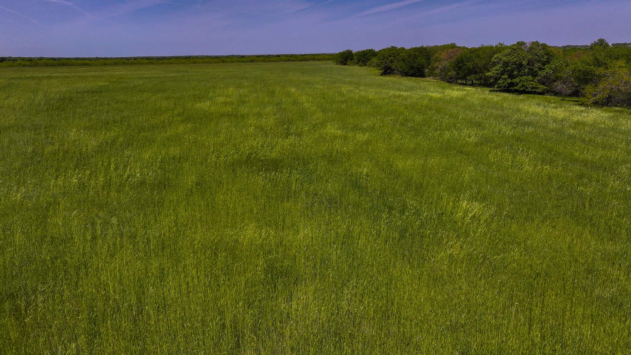 20 ac North Texas Hill Country Residential Land in Montague County