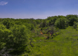 22 +/- ac Residential in Montague County, Texas