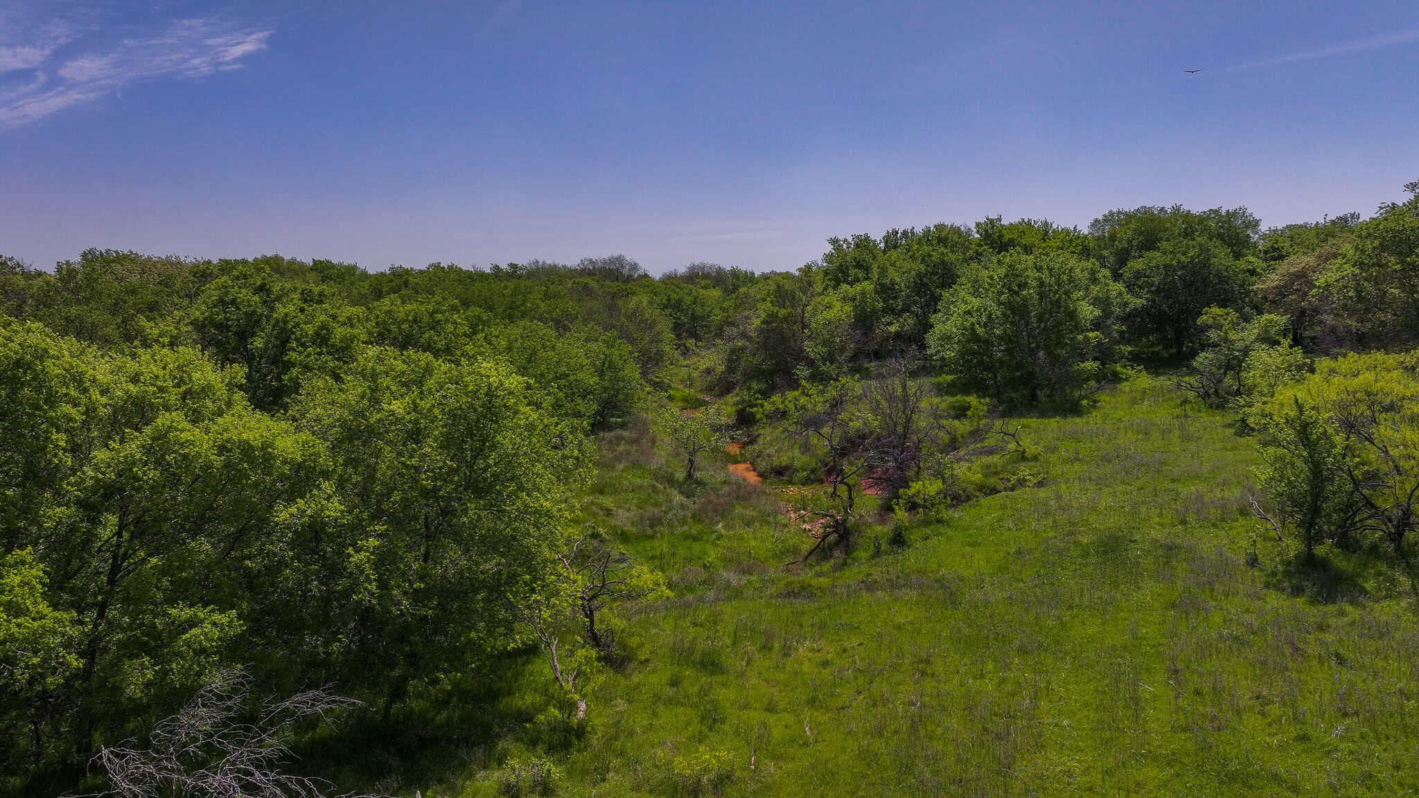 22 +/- ac Residential in Montague County, Texas
