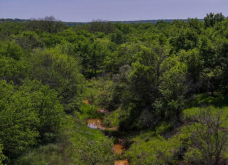 North Texas Hill Country Residential Land in Montague County 20 acre Residential Tract