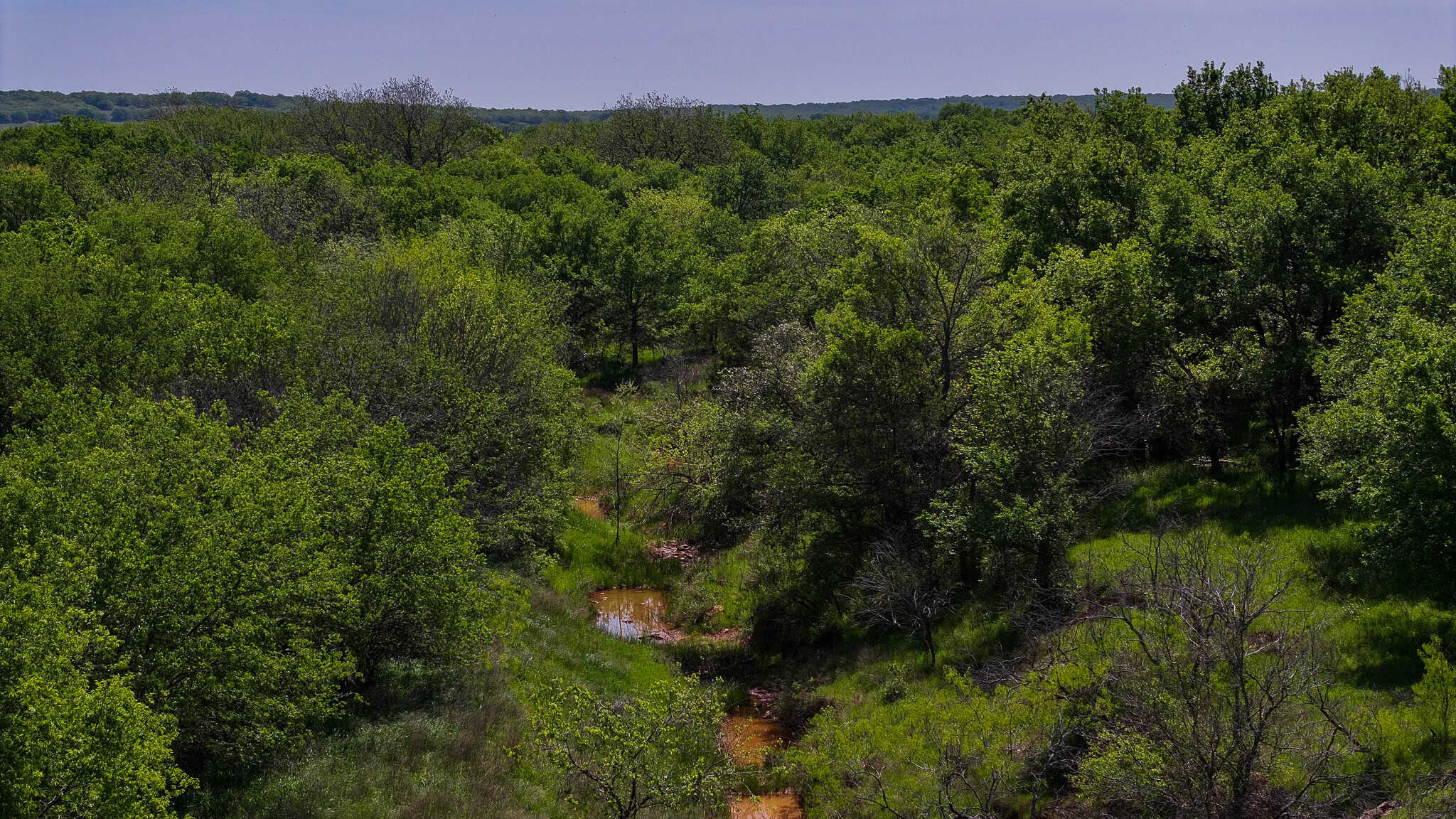 North Texas Hill Country Residential Land in Montague County 20 acre Residential Tract
