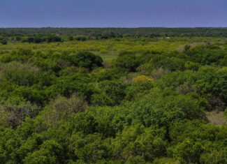 North Texas Hill Country Residential Land in Montague County 20 acre Residential Tract