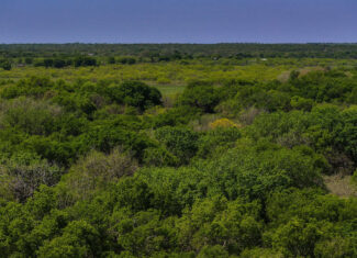 22 +/- ac Residential in Montague County, Texas