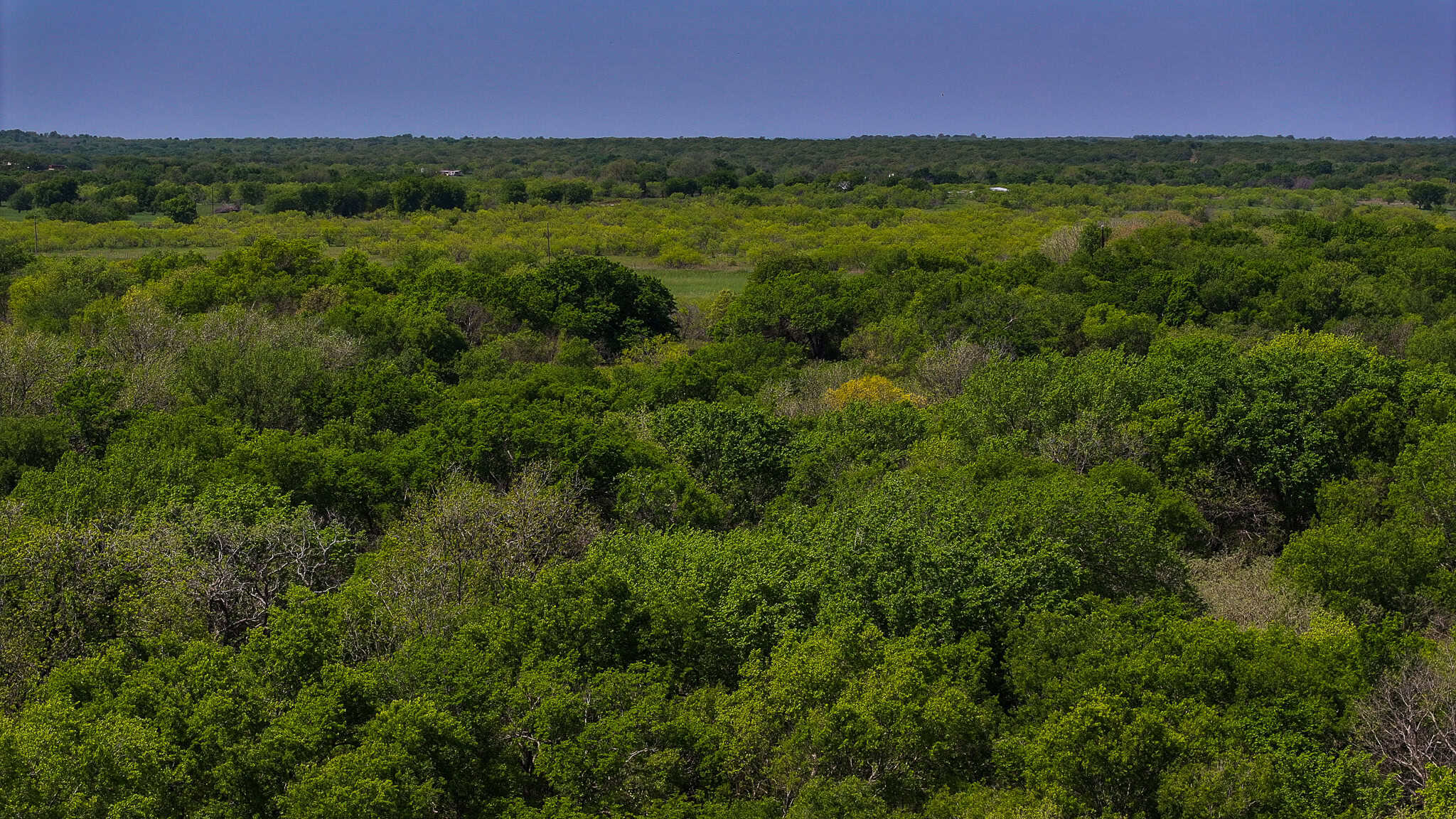 22 +/- ac Residential in Montague County, Texas