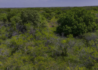 20 ac North Texas Hill Country Residential Land in Montague County