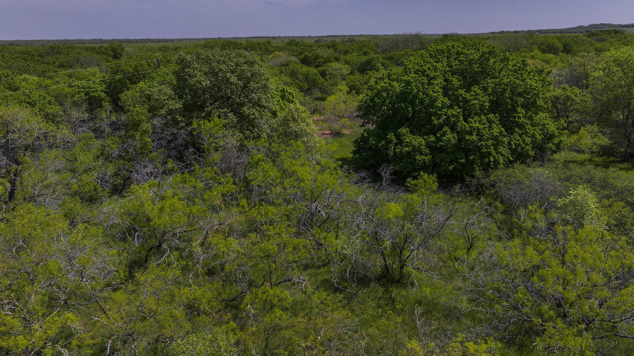 20 ac North Texas Hill Country Residential Land in Montague County