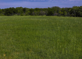 22 +/- ac Residential in Montague County, Texas