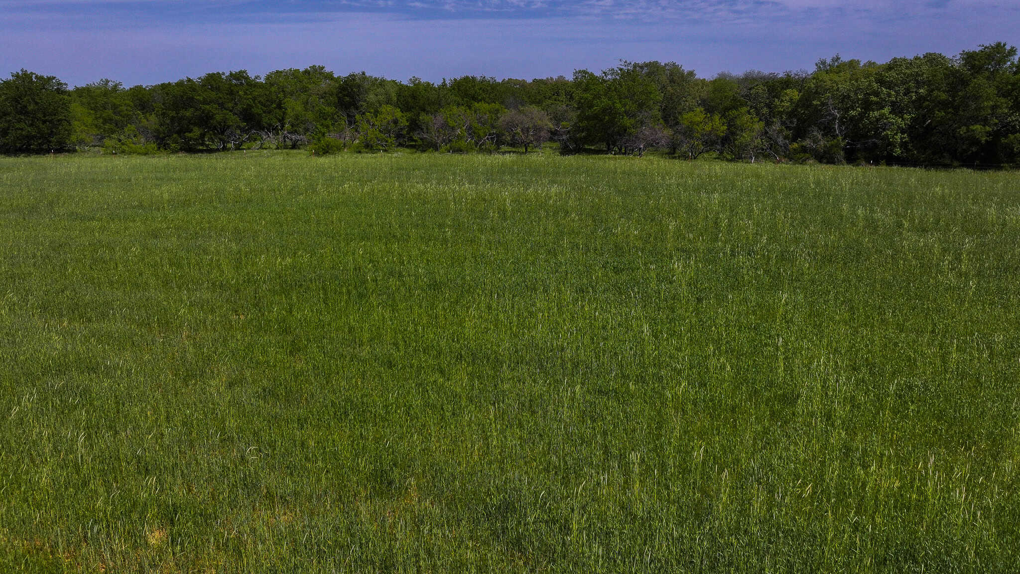 22 +/- ac Residential in Montague County, Texas