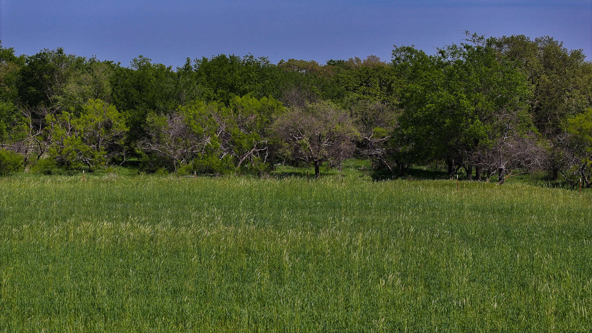 22 +/- ac Residential in Montague County, Texas