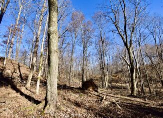 Warrick County IN Hunting and Recreational Property For Sale