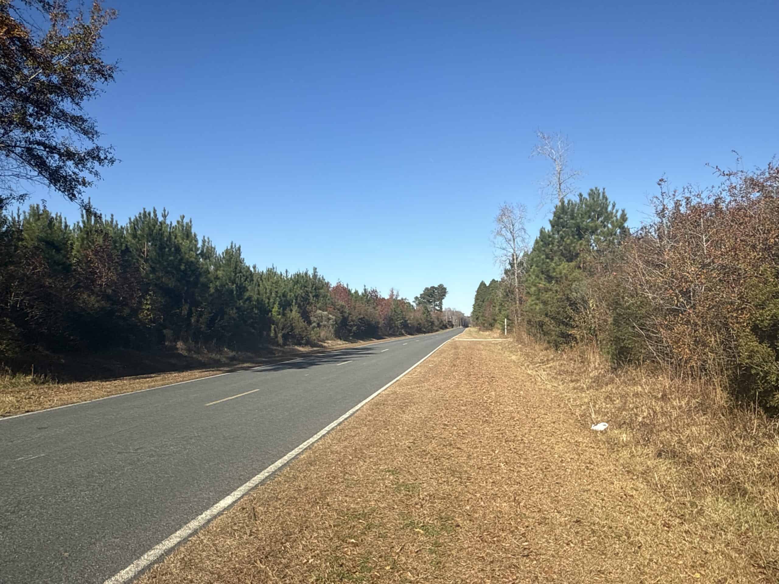 52-Acre Timber and Hunting Tract Near New Bern, NC