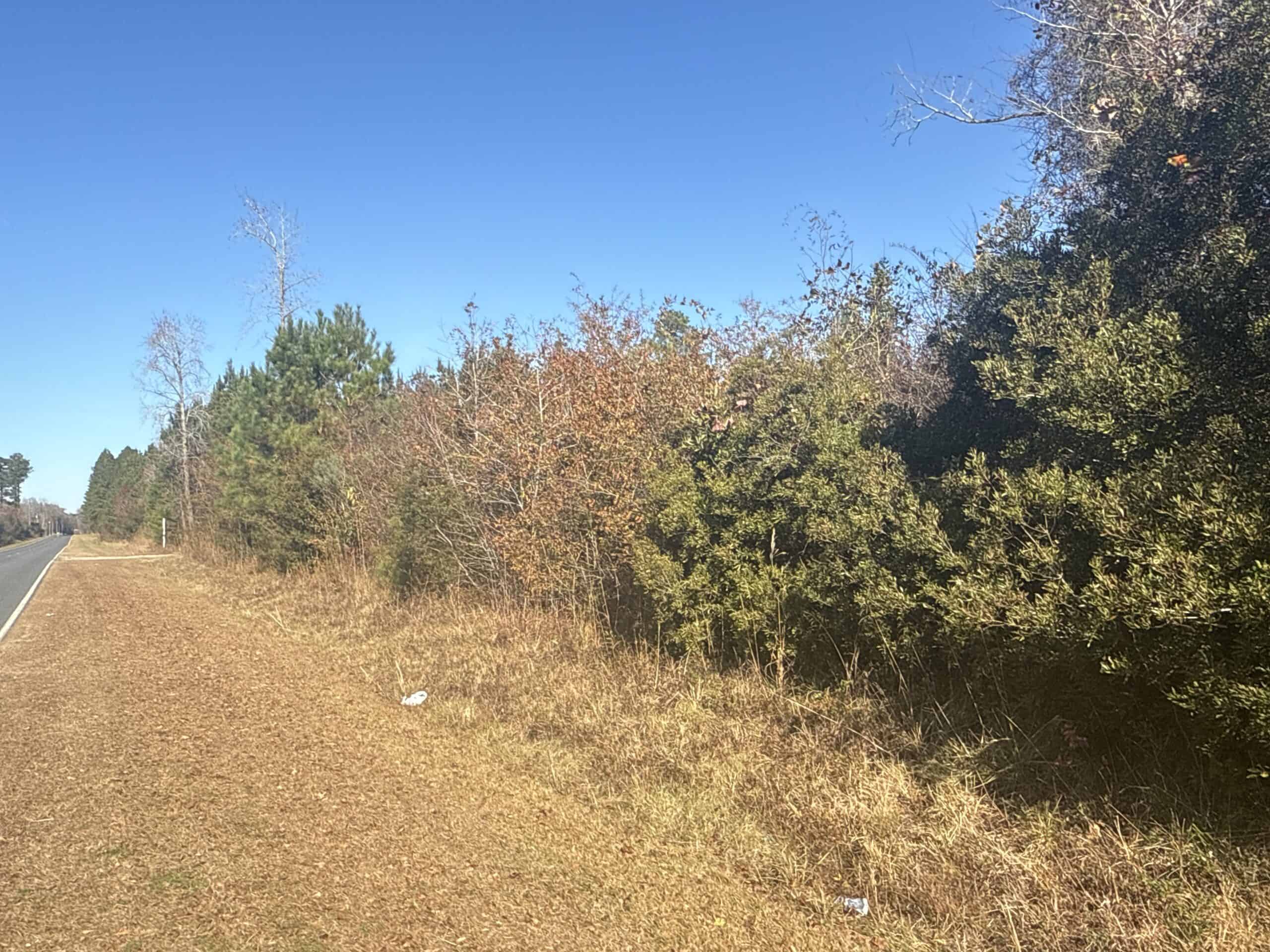52-Acre Timber and Hunting Tract Near New Bern, NC