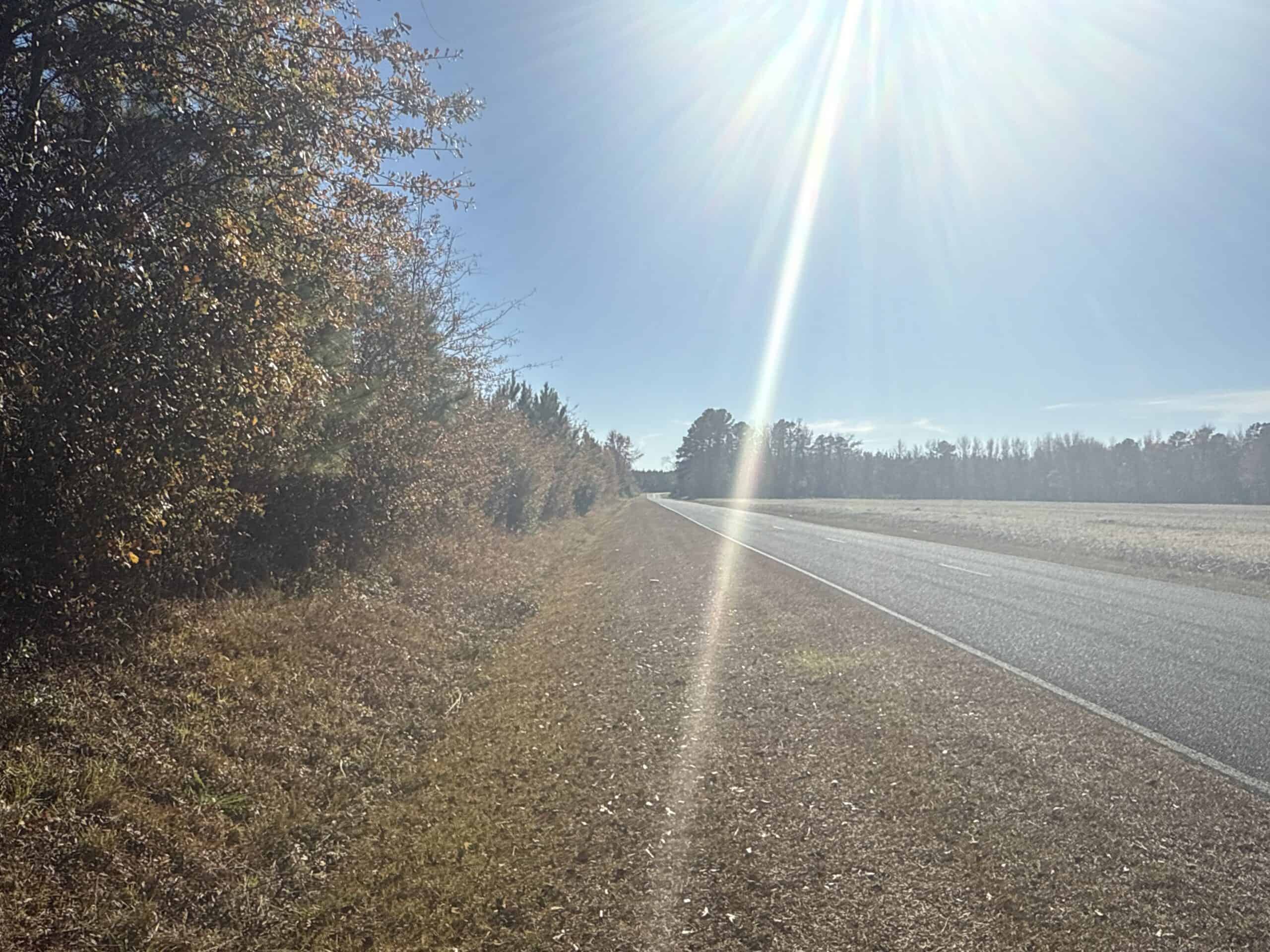 52-Acre Timber and Hunting Tract Near New Bern, NC