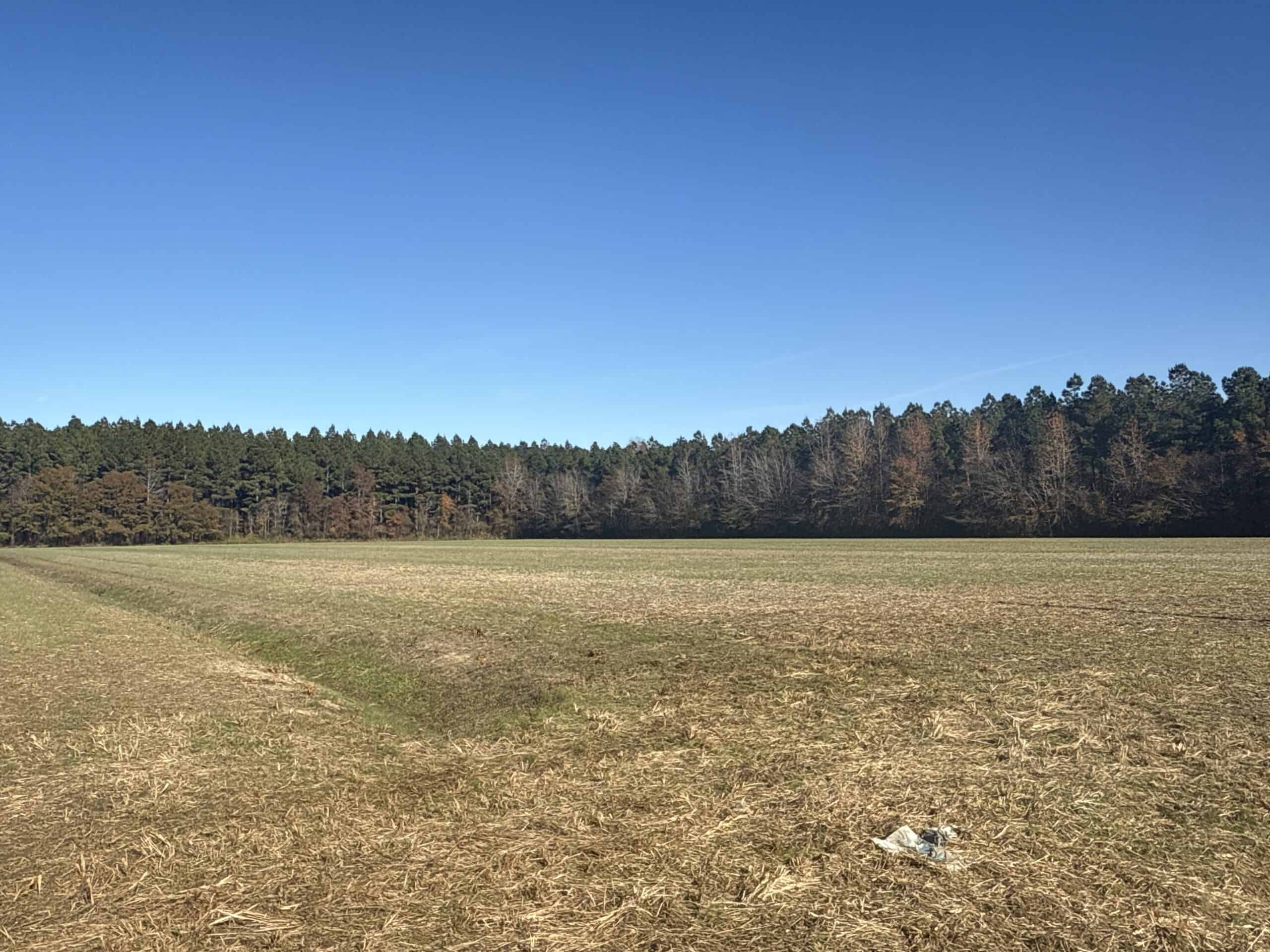 125 Acres of Farmland & Timberland on Tuten Road for Sale