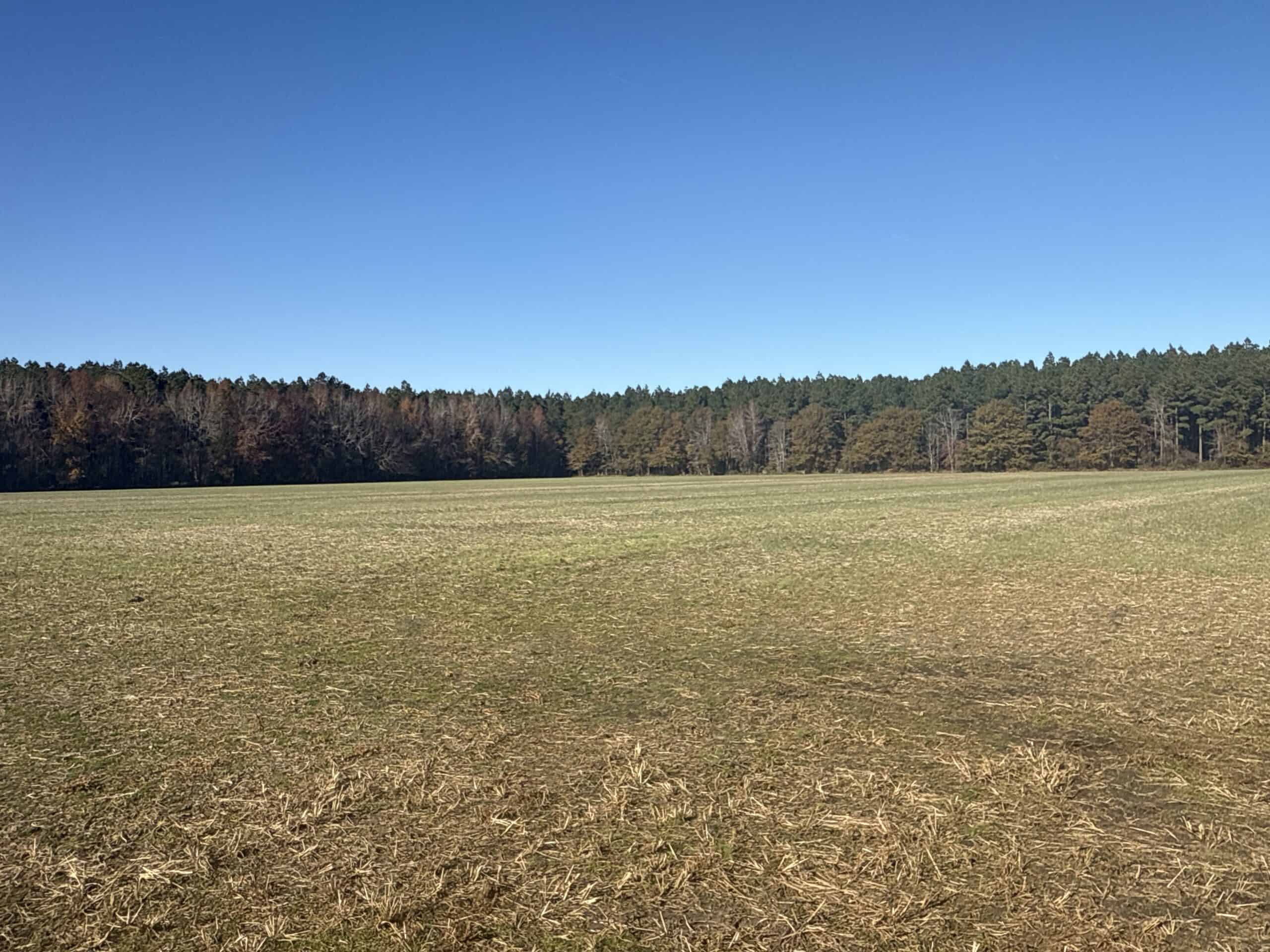 125 Acres of Farmland & Timberland on Tuten Road for Sale