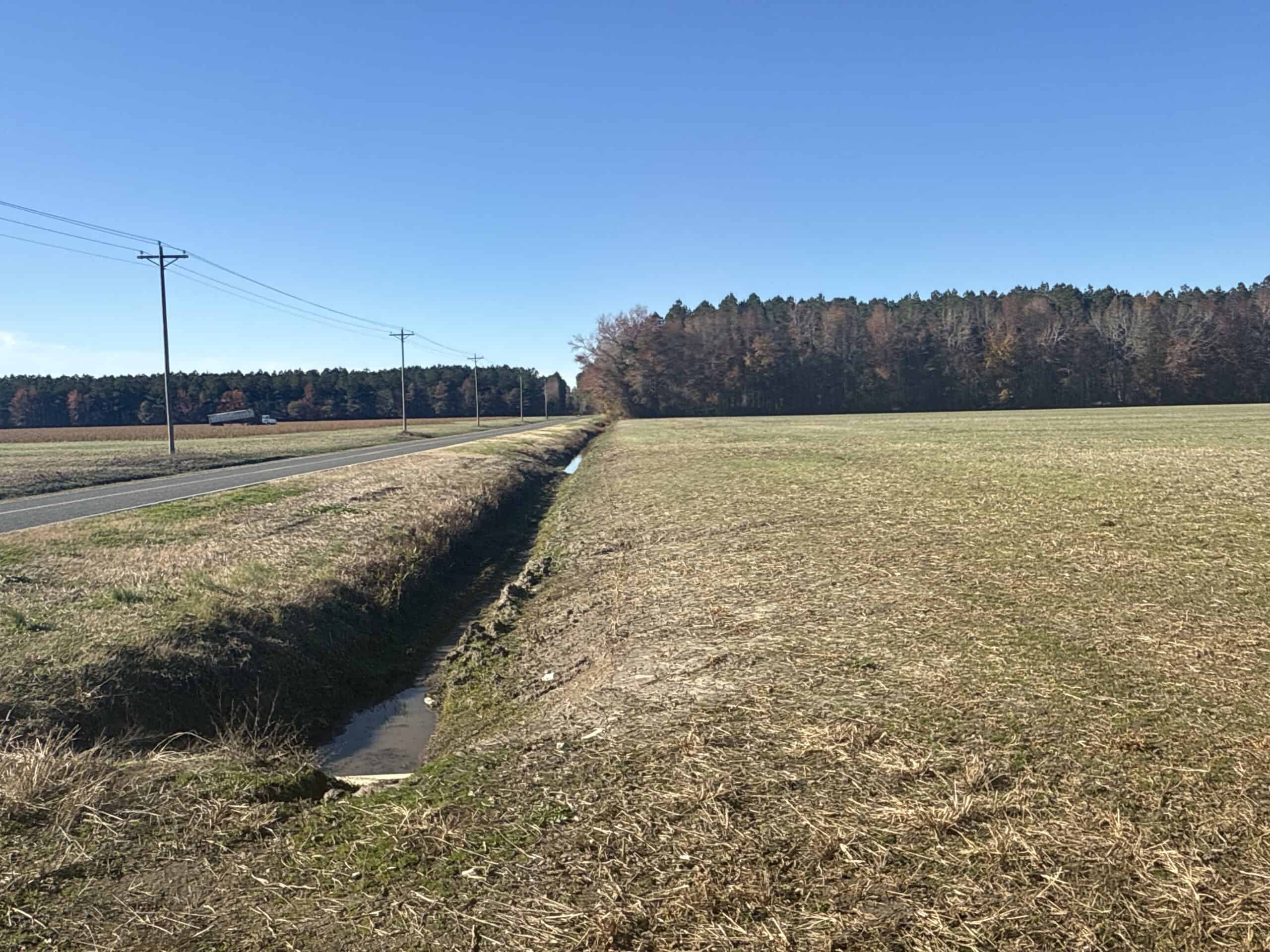 125 Acres of Farmland & Timberland on Tuten Road for Sale