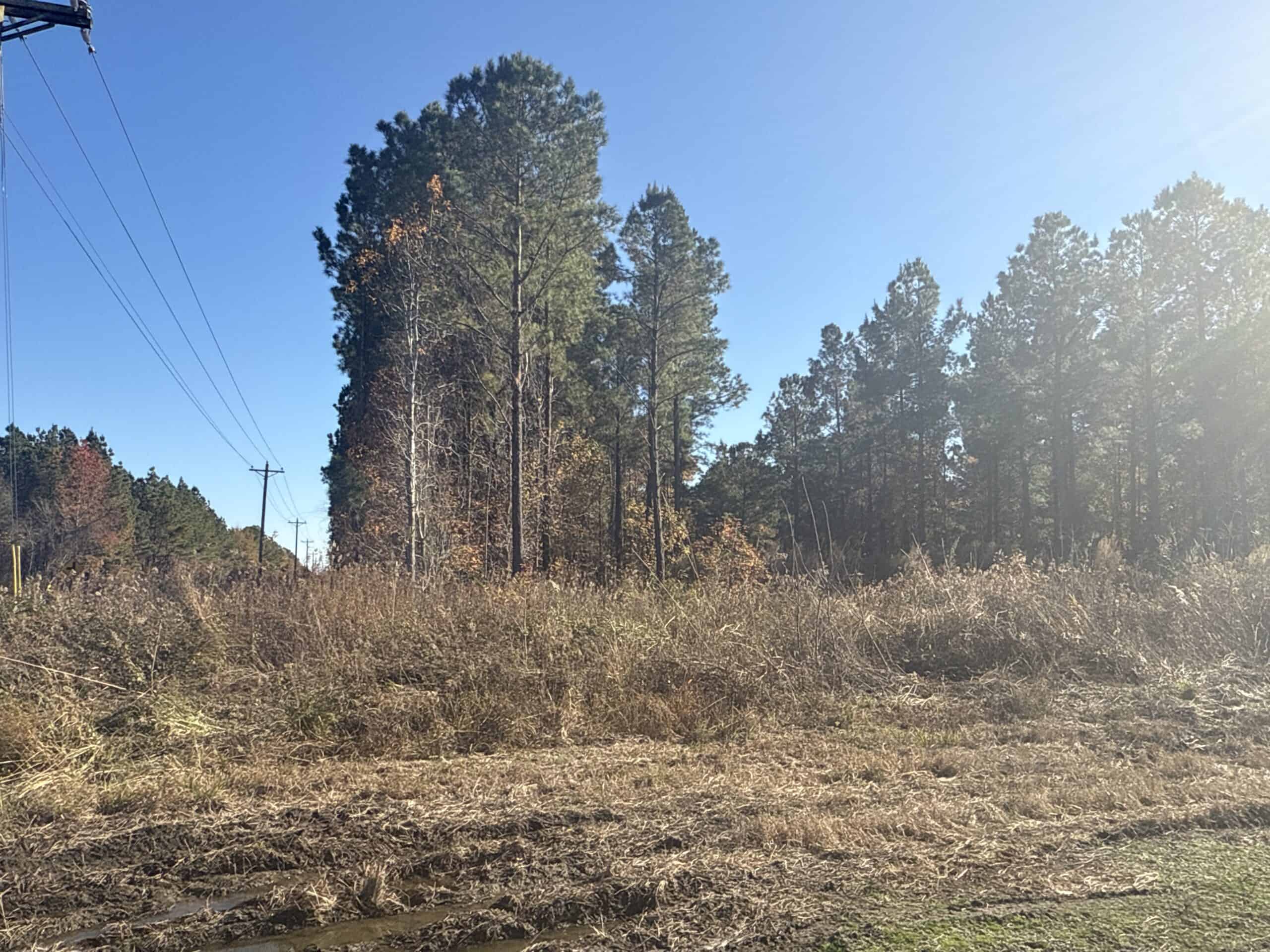 125 Acres of Farmland & Timberland on Tuten Road for Sale