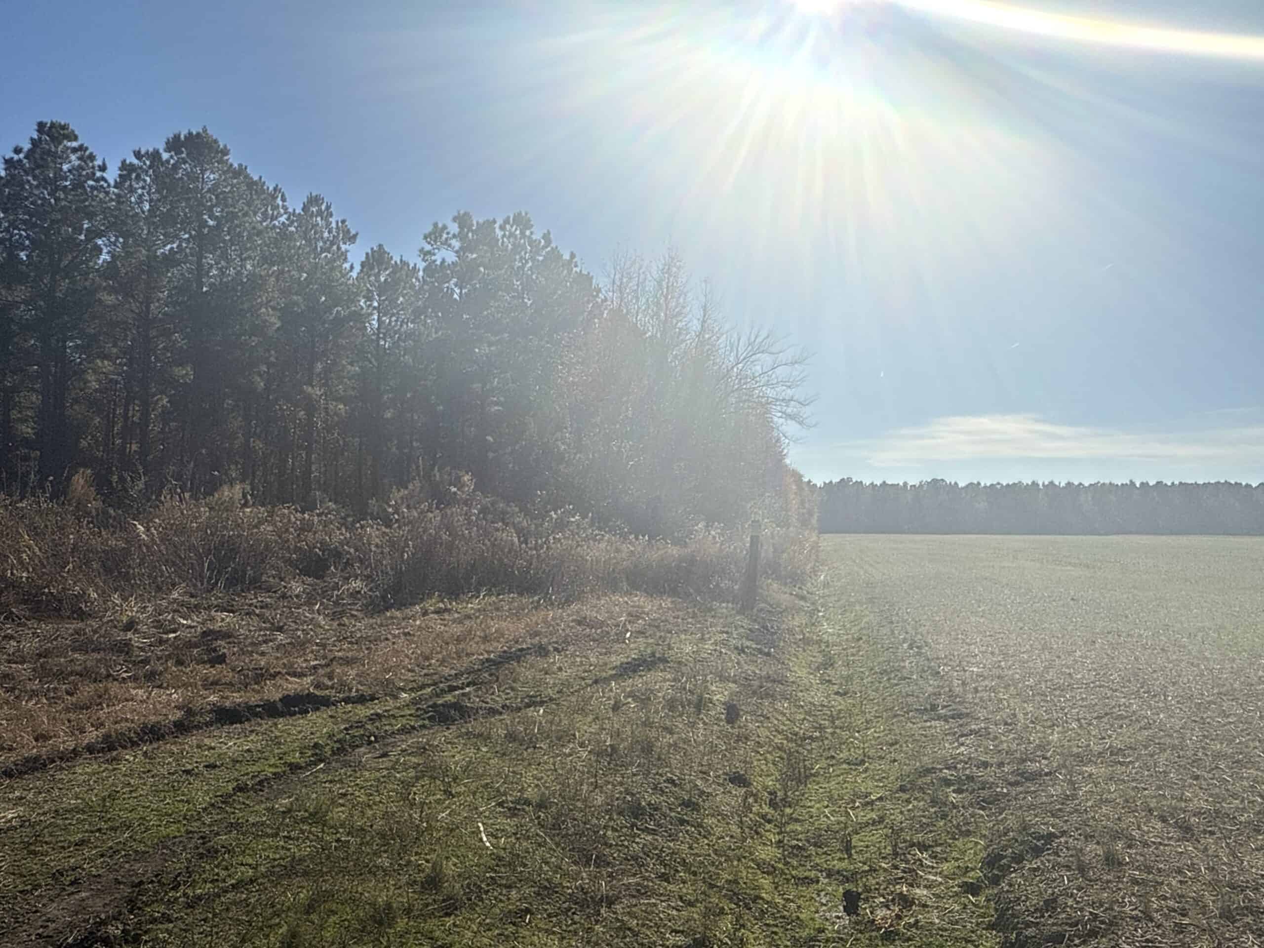 125 Acres of Farmland & Timberland on Tuten Road for Sale