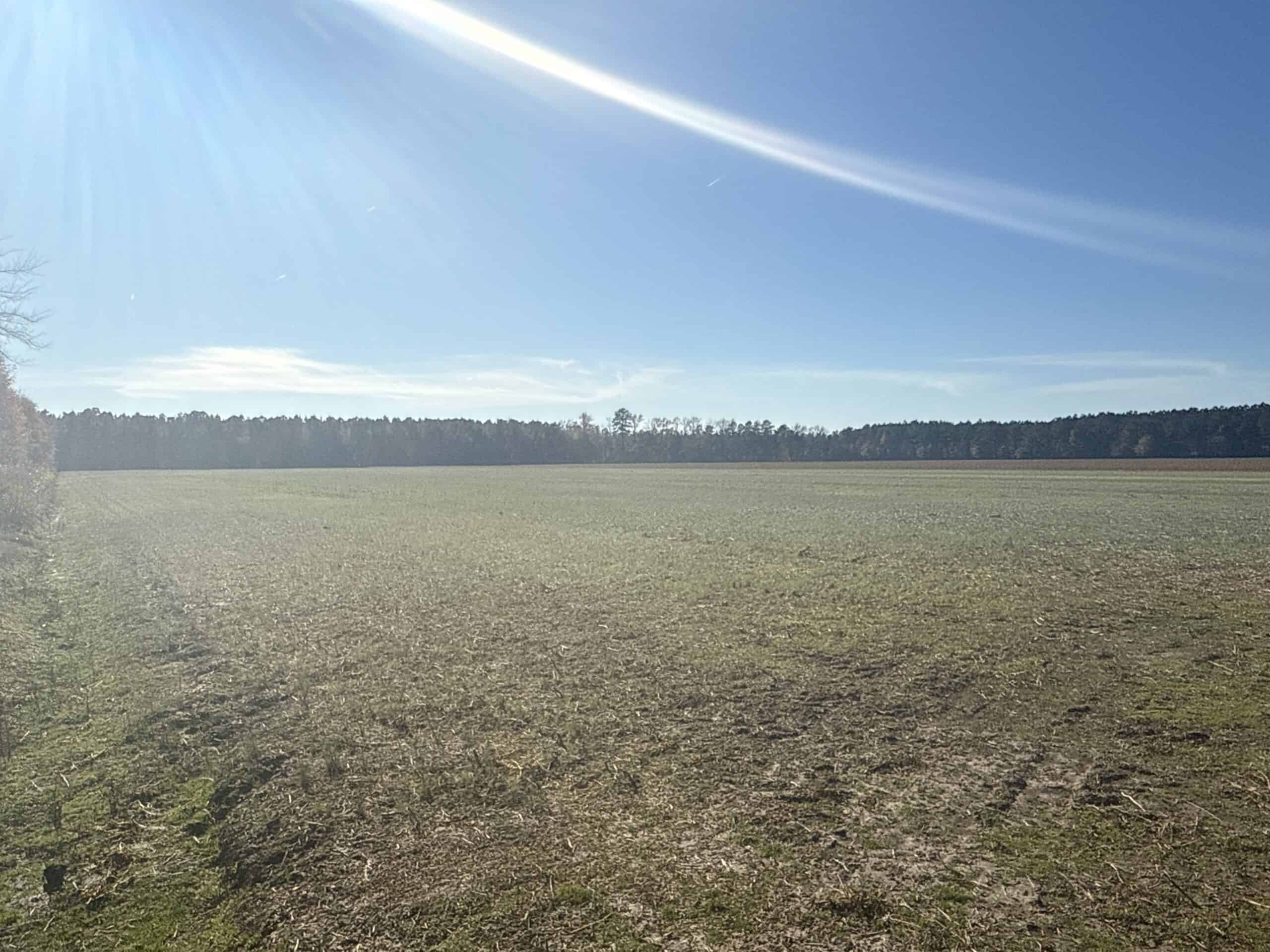 125 Acres of Farmland & Timberland on Tuten Road for Sale