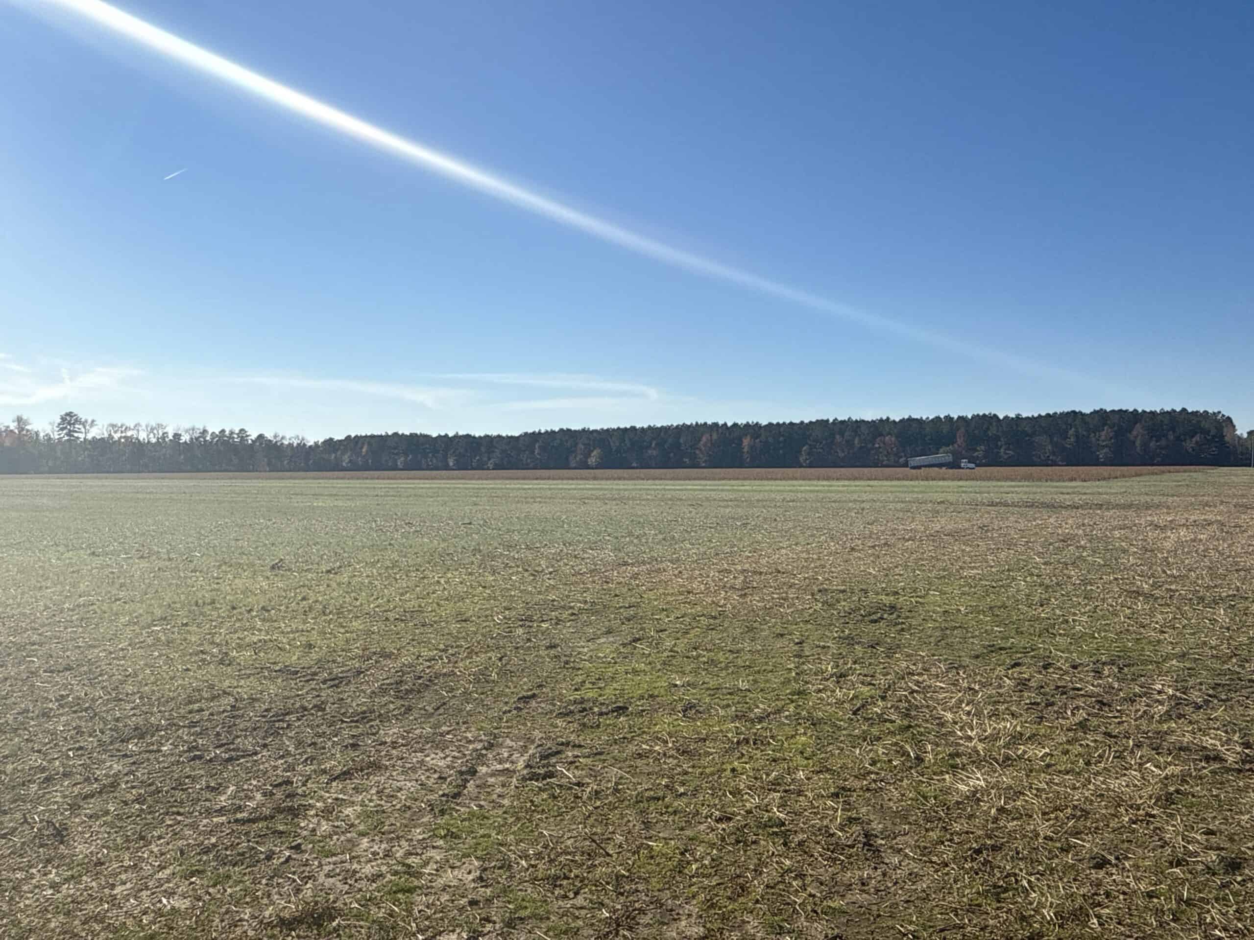 125 Acres of Farmland & Timberland on Tuten Road for Sale
