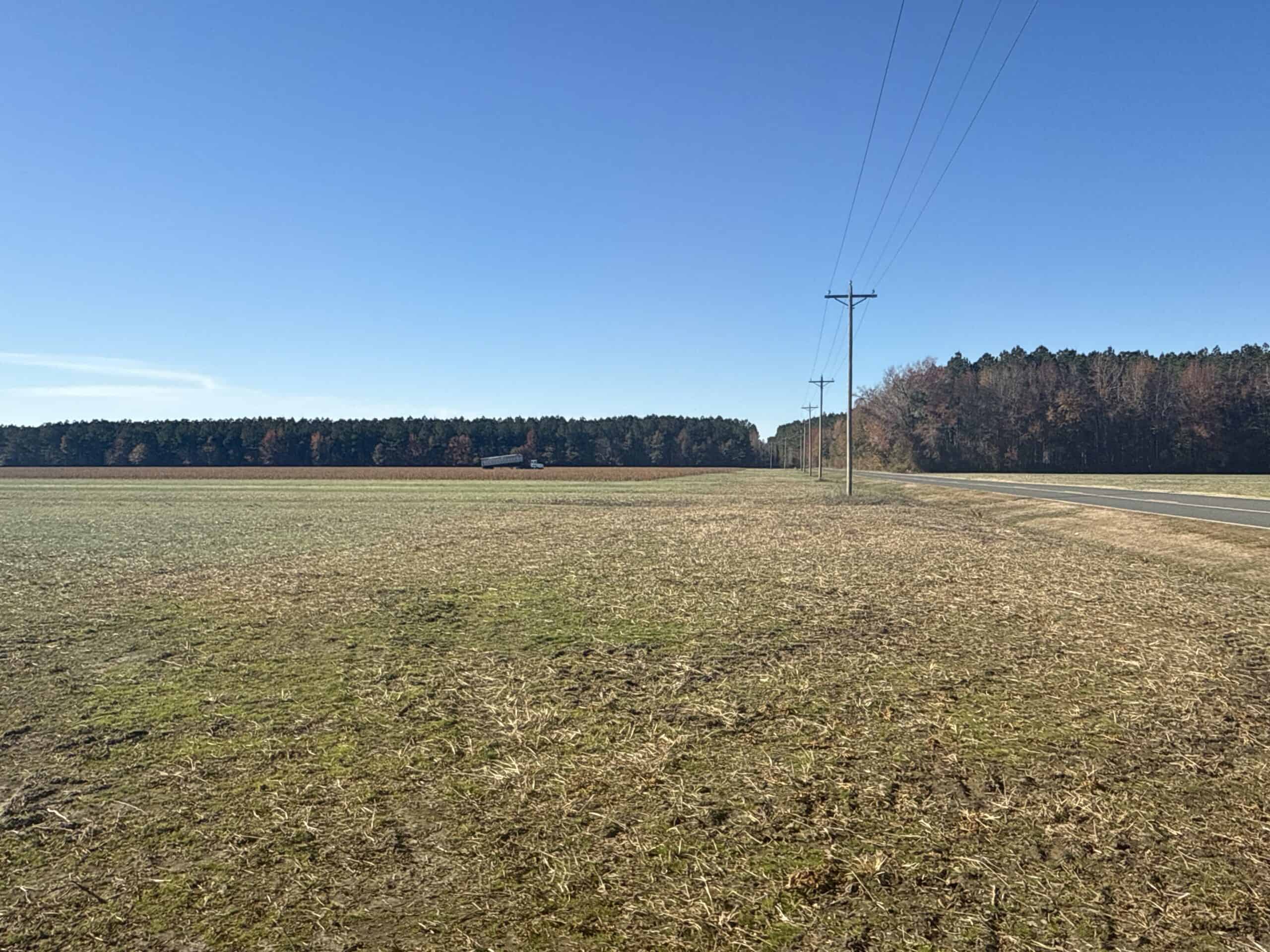 125 Acres of Farmland & Timberland on Tuten Road for Sale
