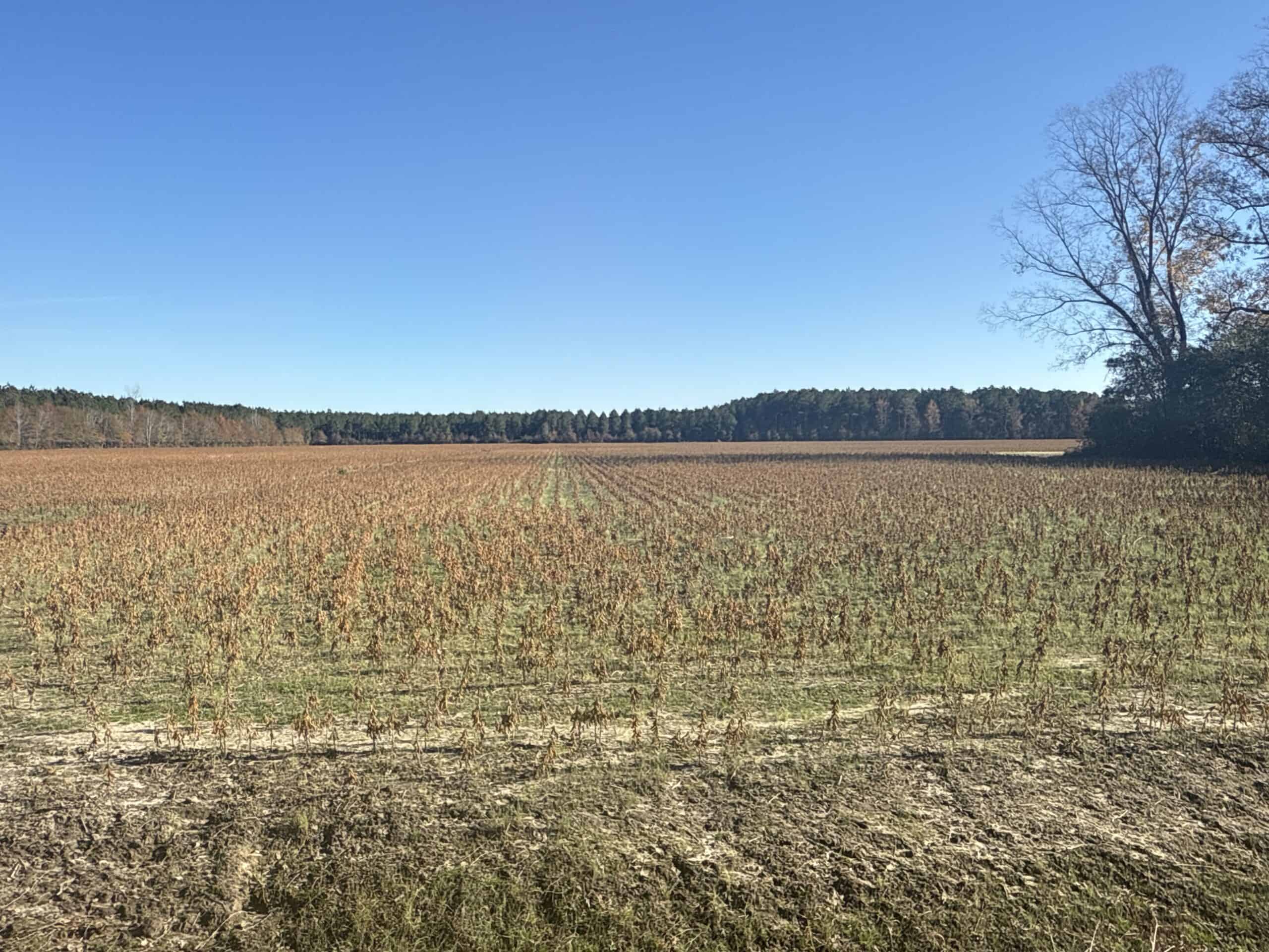 93-Acre Farm & Timber and Hunting Tract Near Washington, NC