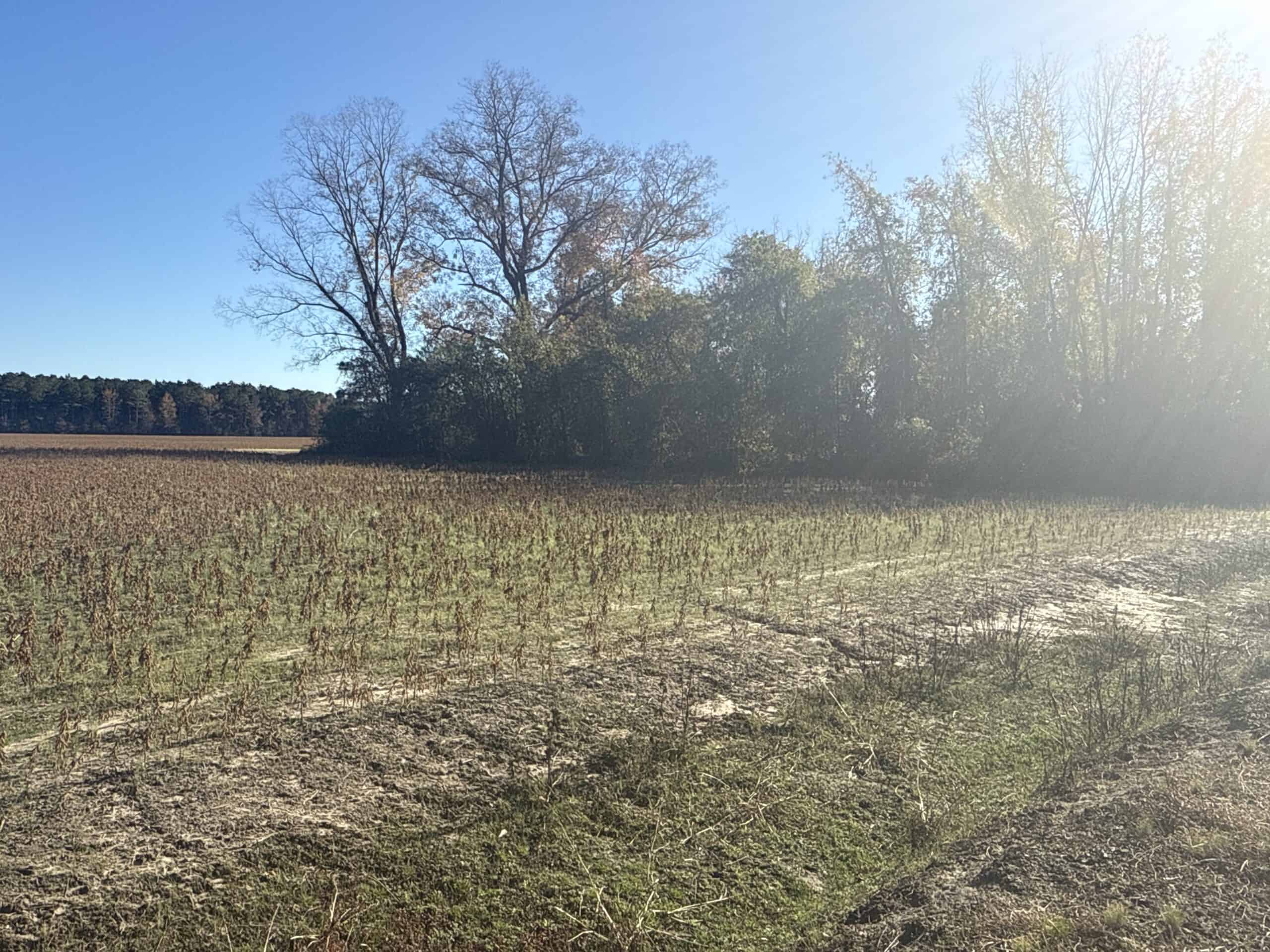 93-Acre Farm & Timber and Hunting Tract Near Washington, NC