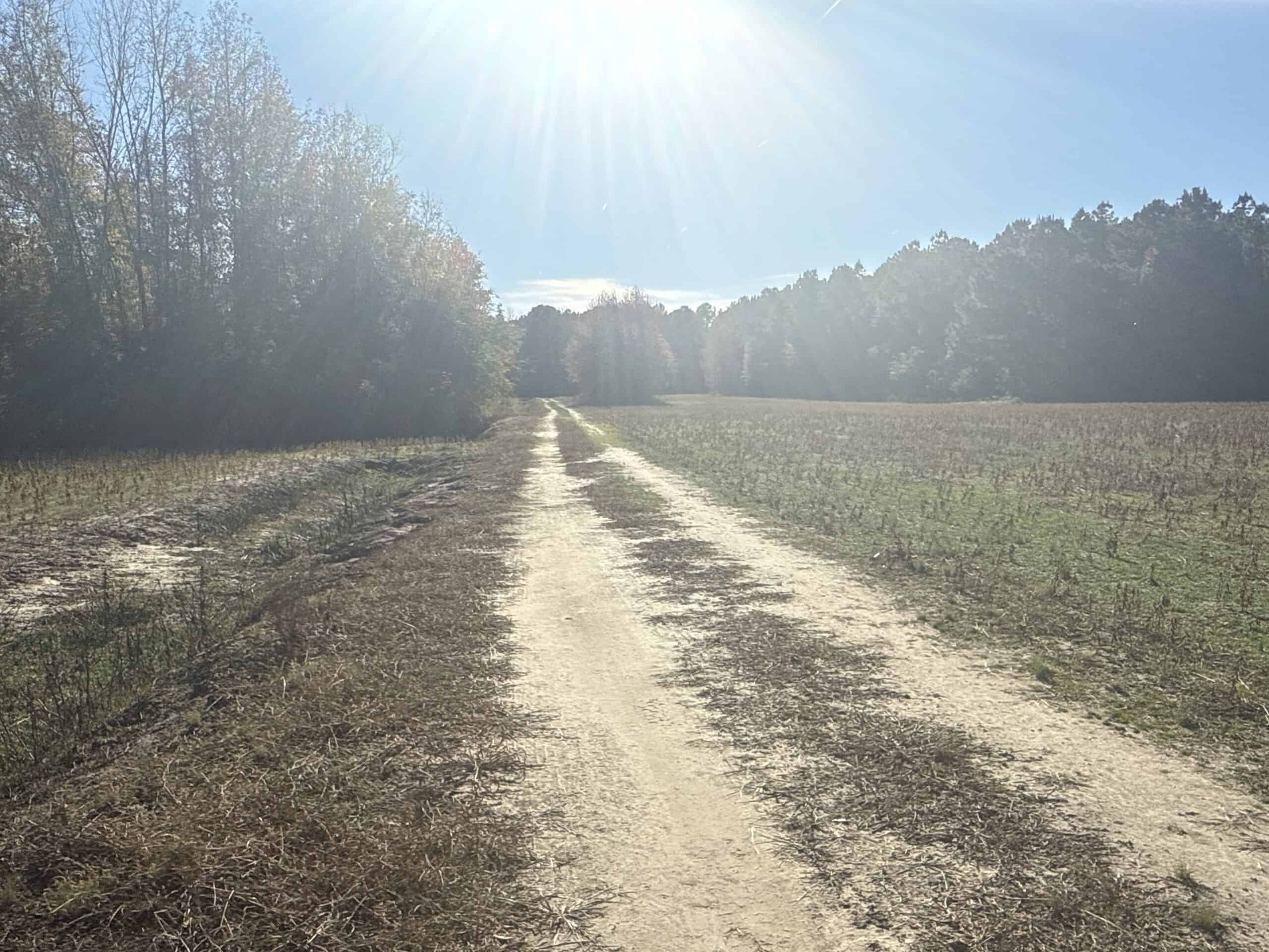93-Acre Farm & Timber and Hunting Tract Near Washington, NC