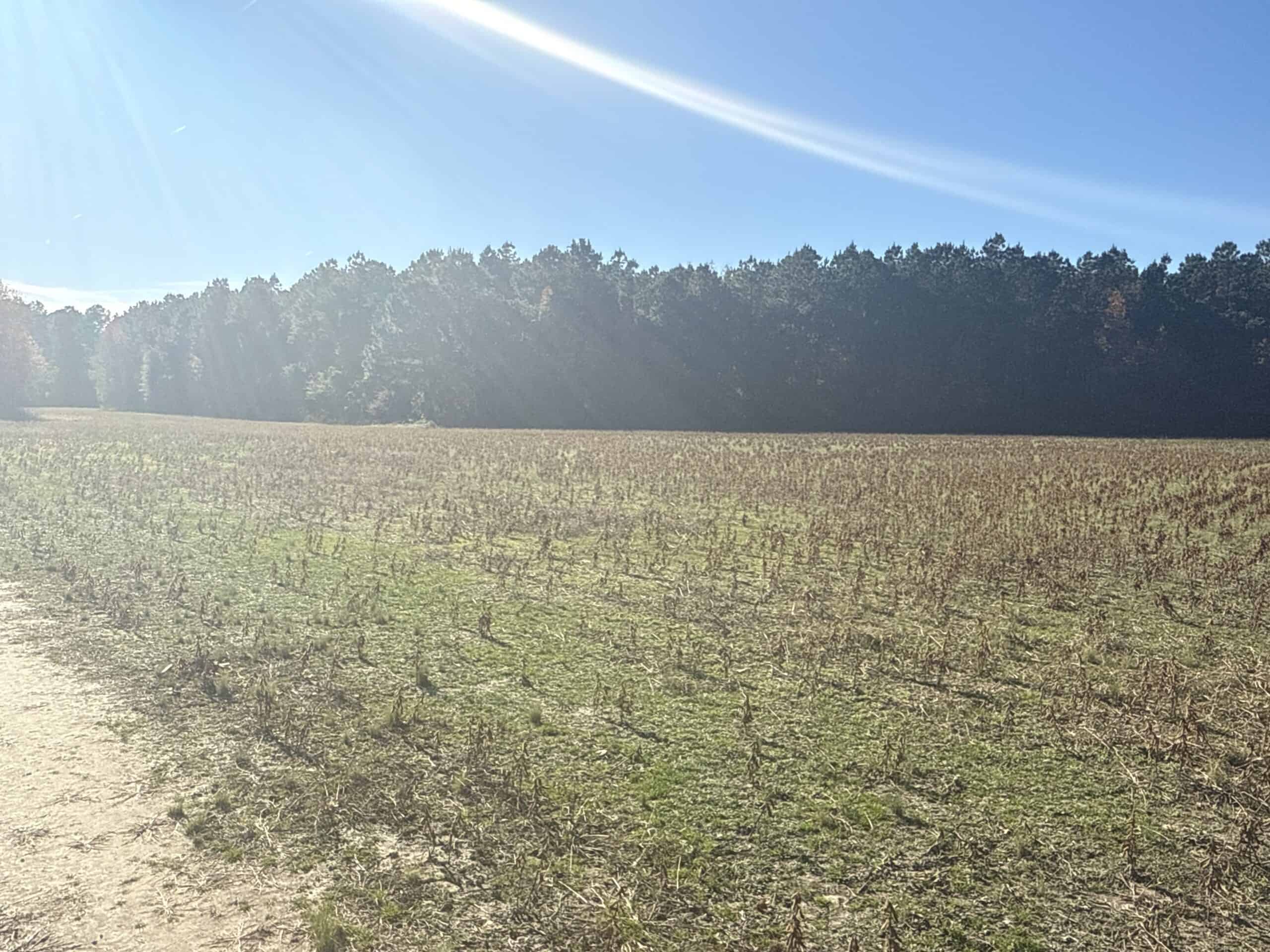 93-Acre Farm & Timber and Hunting Tract Near Washington, NC