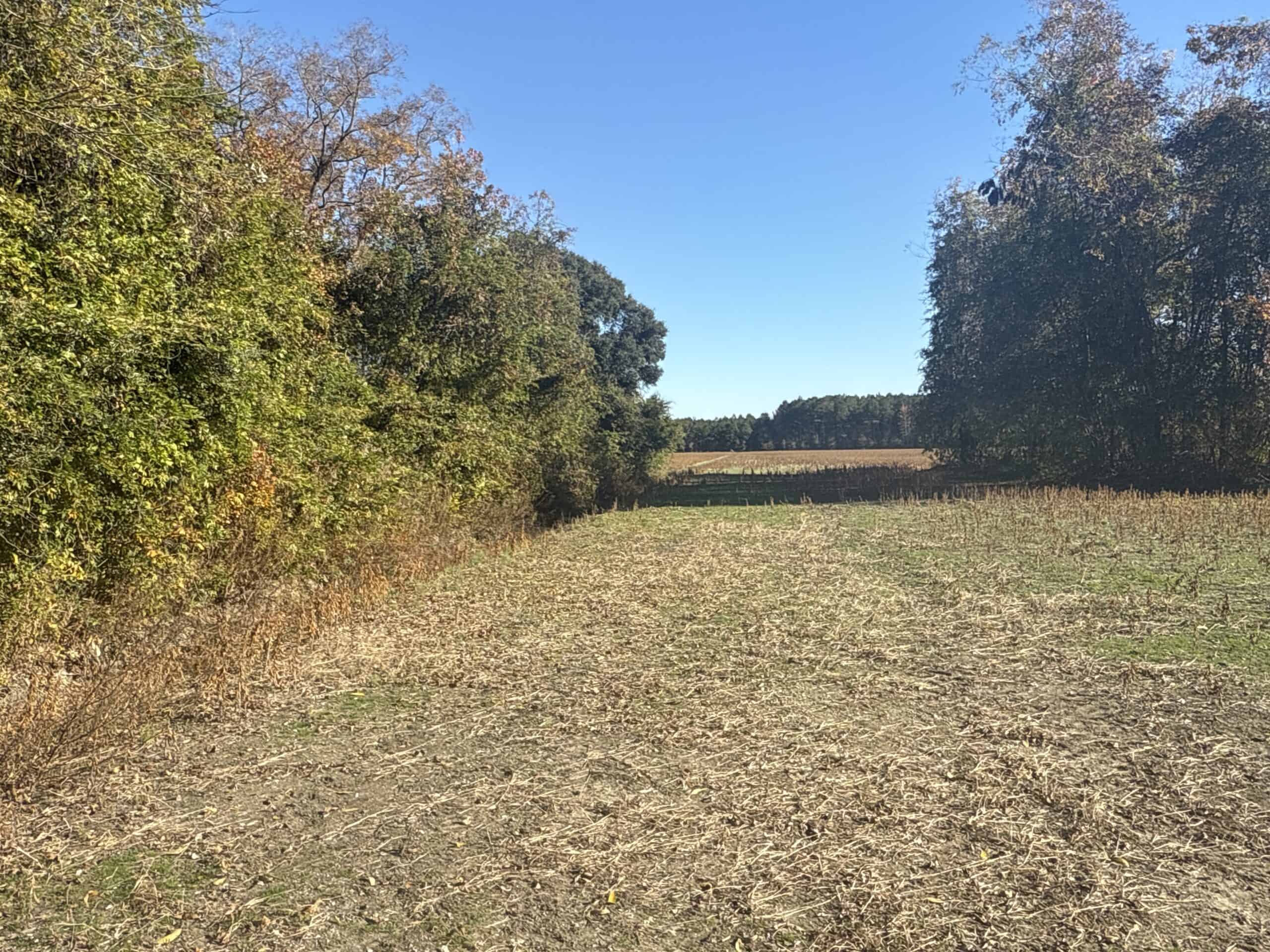 93-Acre Farm & Timber and Hunting Tract Near Washington, NC