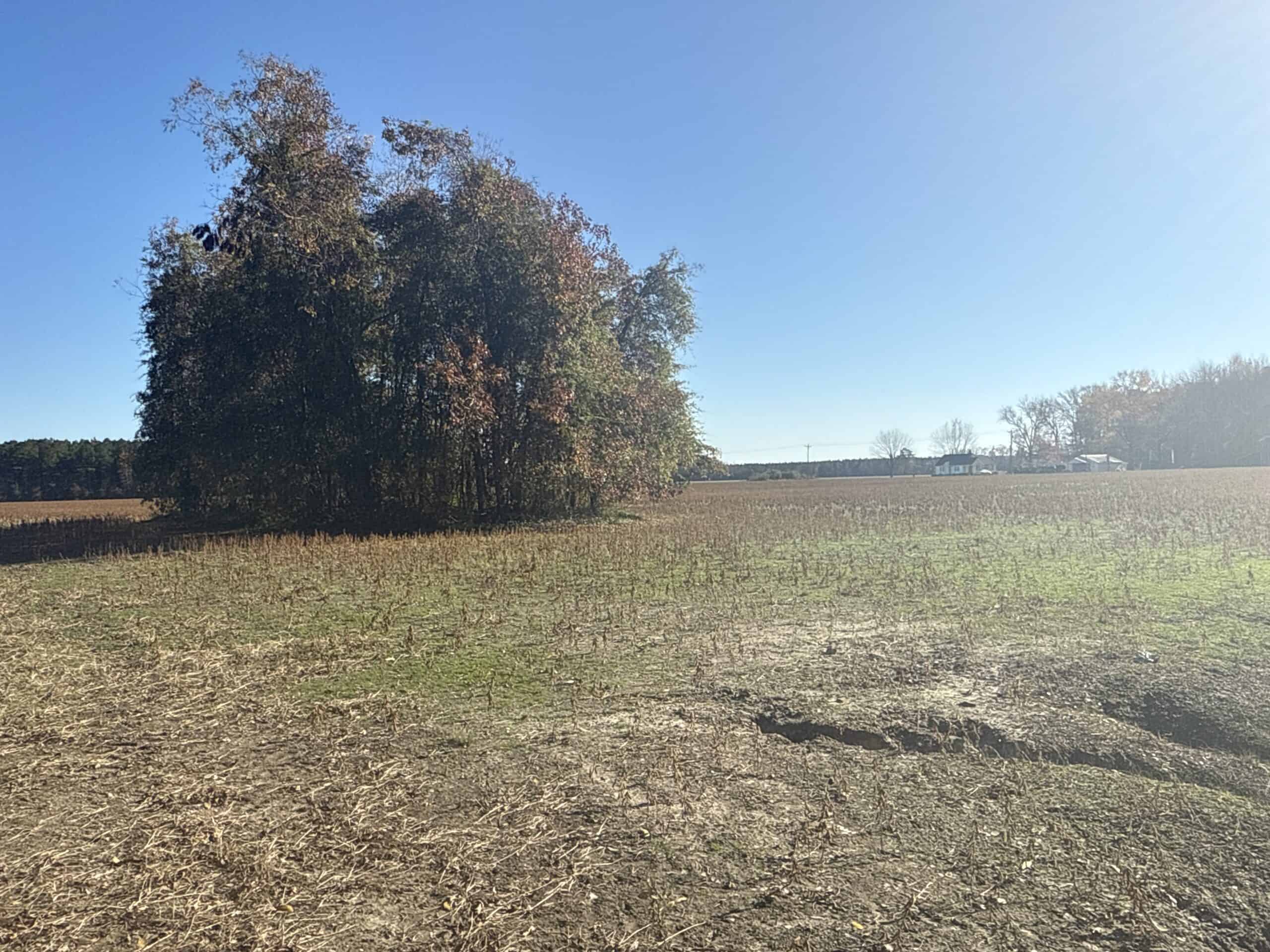 93-Acre Farm & Timber and Hunting Tract Near Washington, NC
