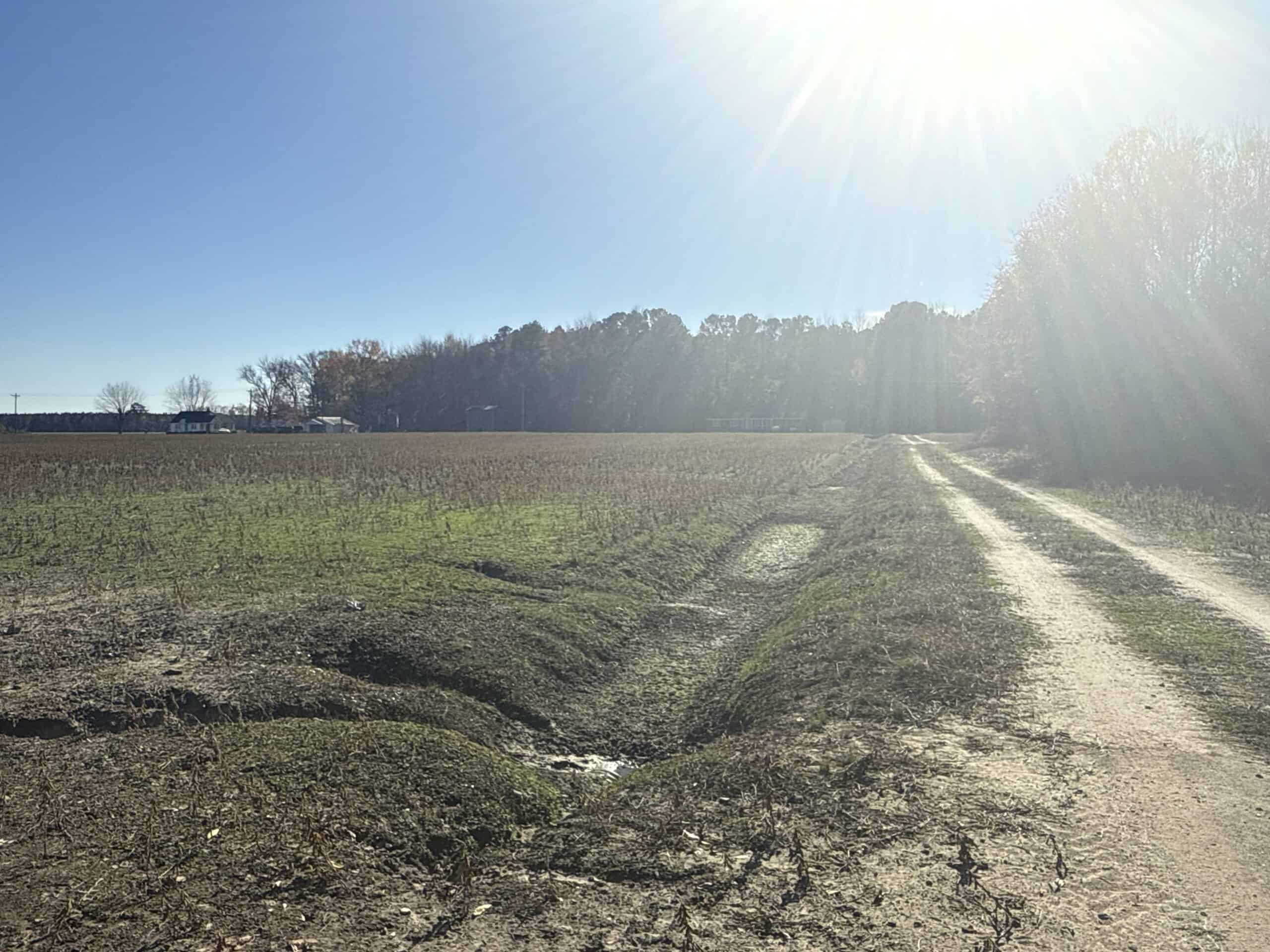 93-Acre Farm & Timber and Hunting Tract Near Washington, NC