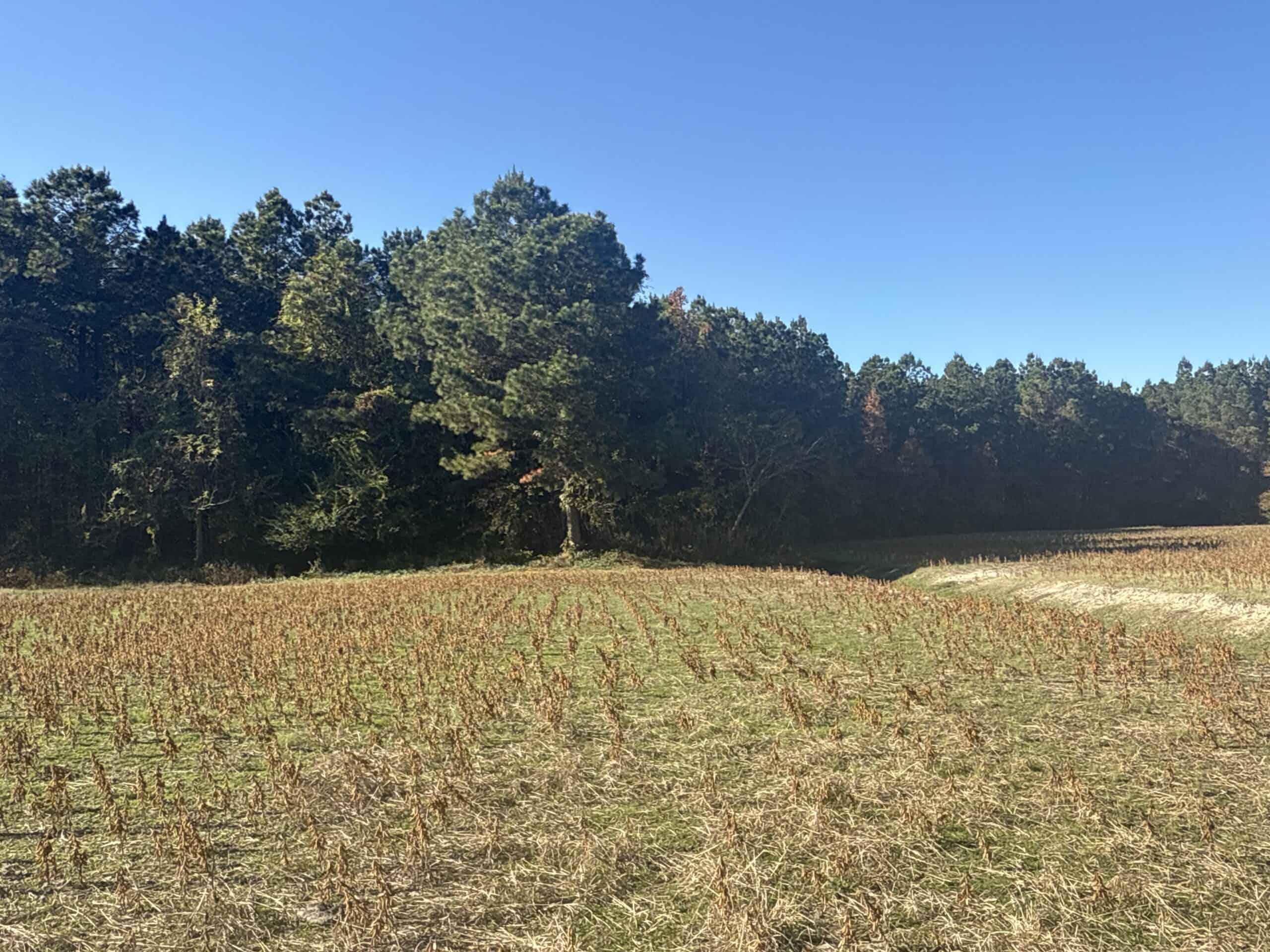93-Acre Farm & Timber and Hunting Tract Near Washington, NC