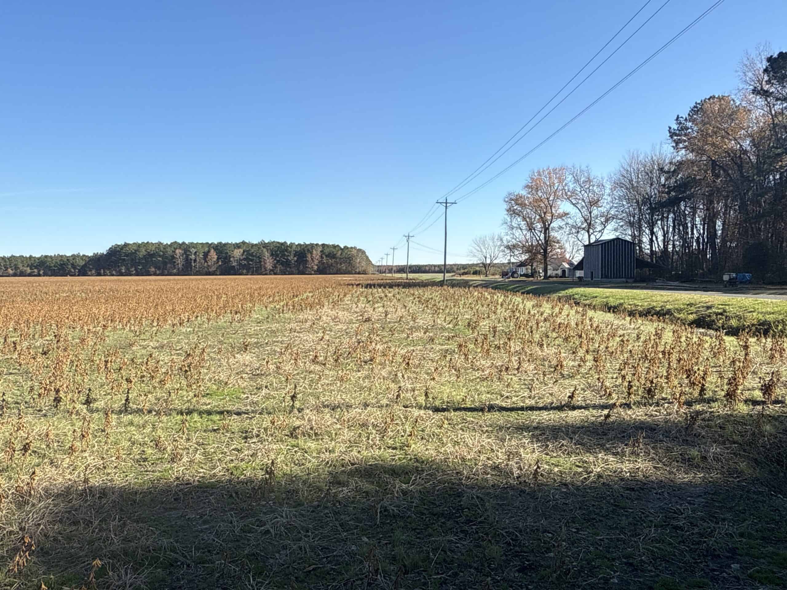 93-Acre Farm & Timber and Hunting Tract Near Washington, NC