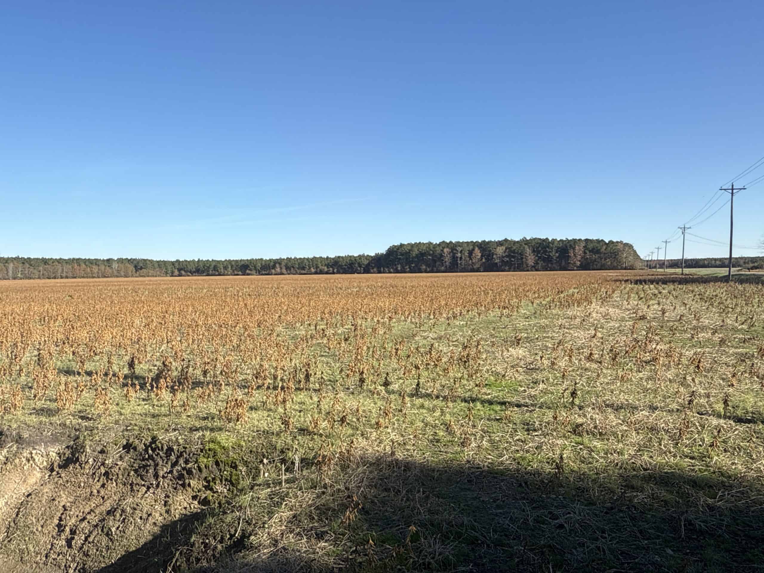 93-Acre Farm & Timber and Hunting Tract Near Washington, NC