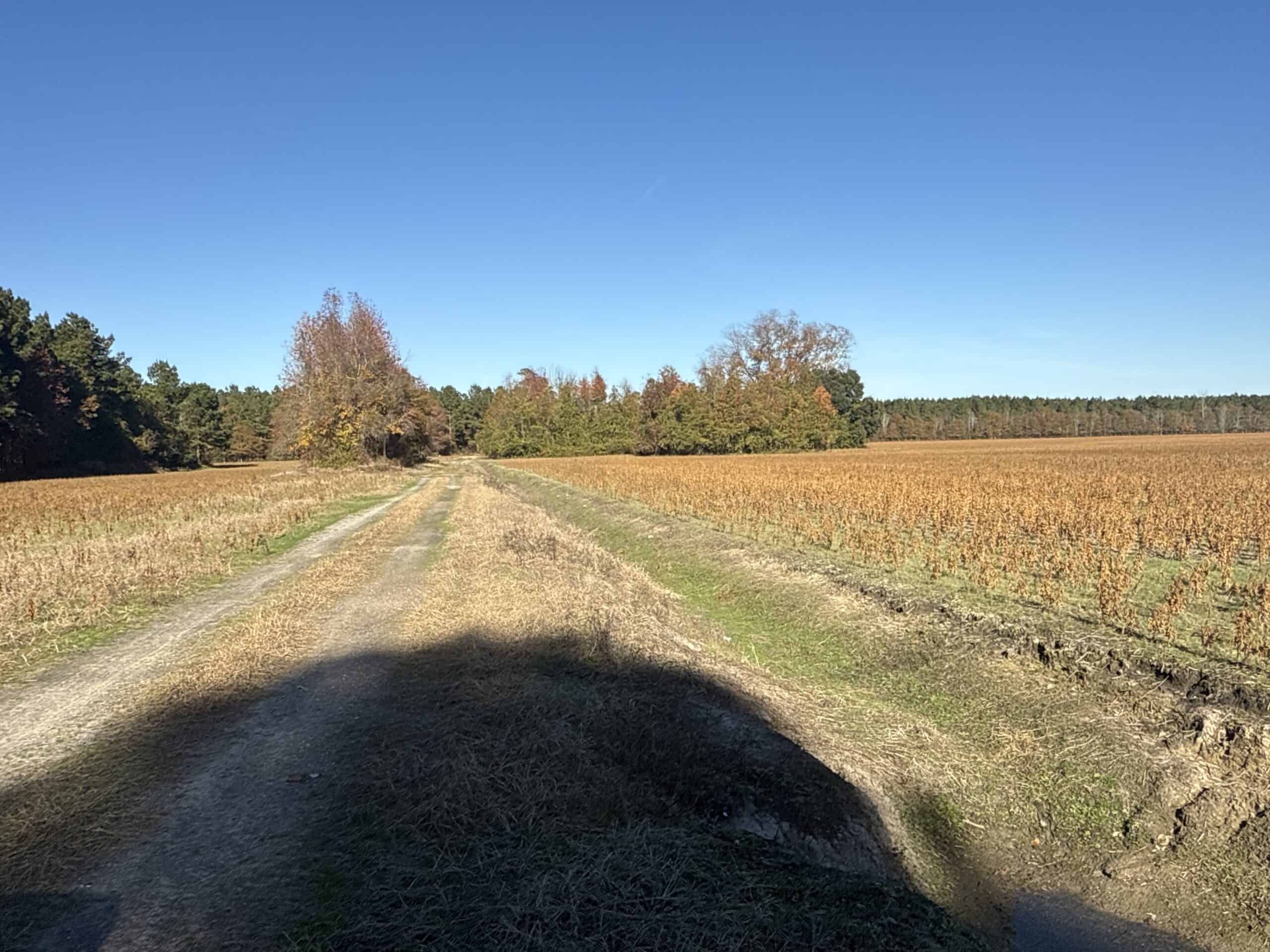 93-Acre Farm & Timber and Hunting Tract Near Washington, NC