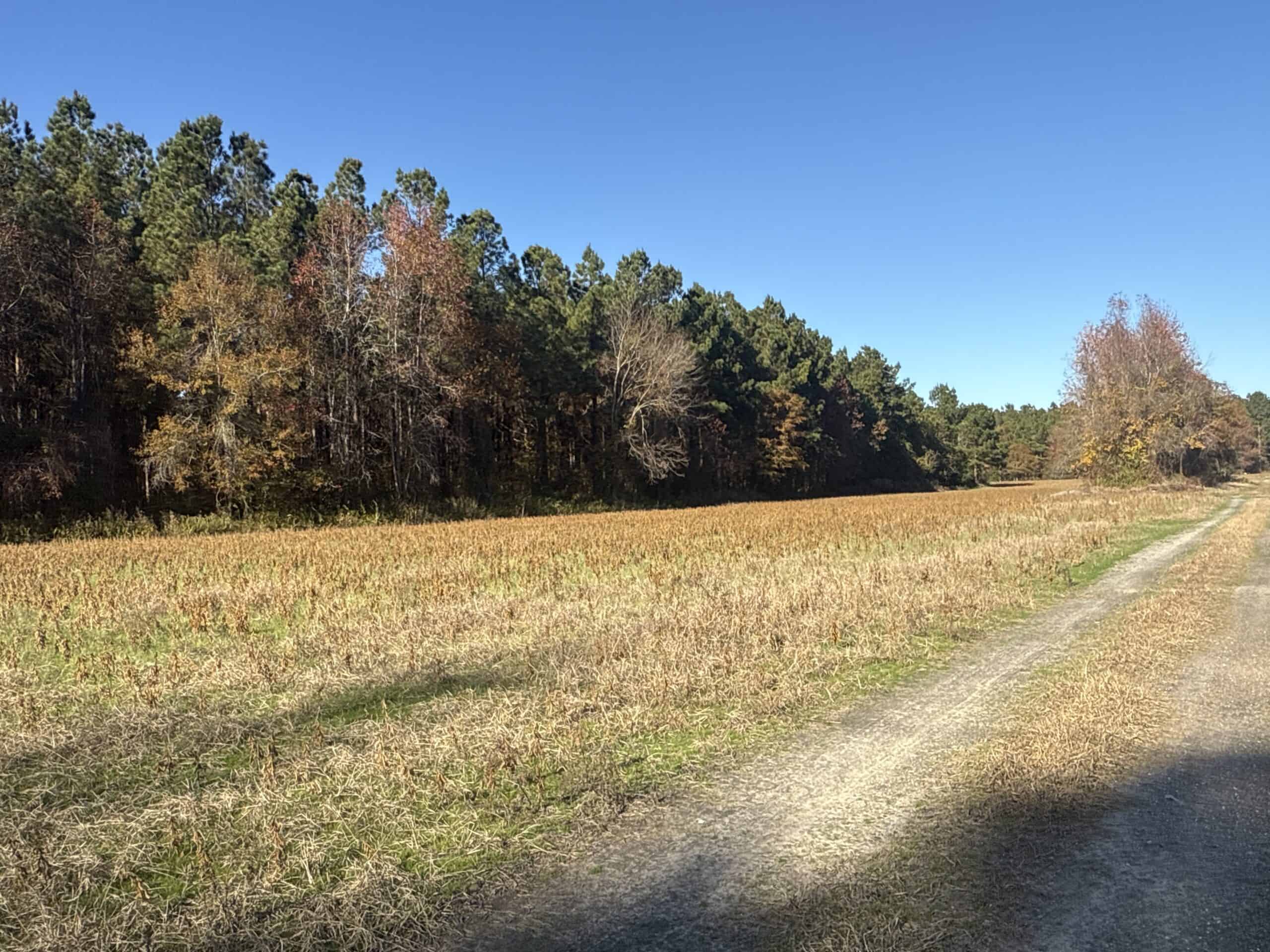93-Acre Farm & Timber and Hunting Tract Near Washington, NC