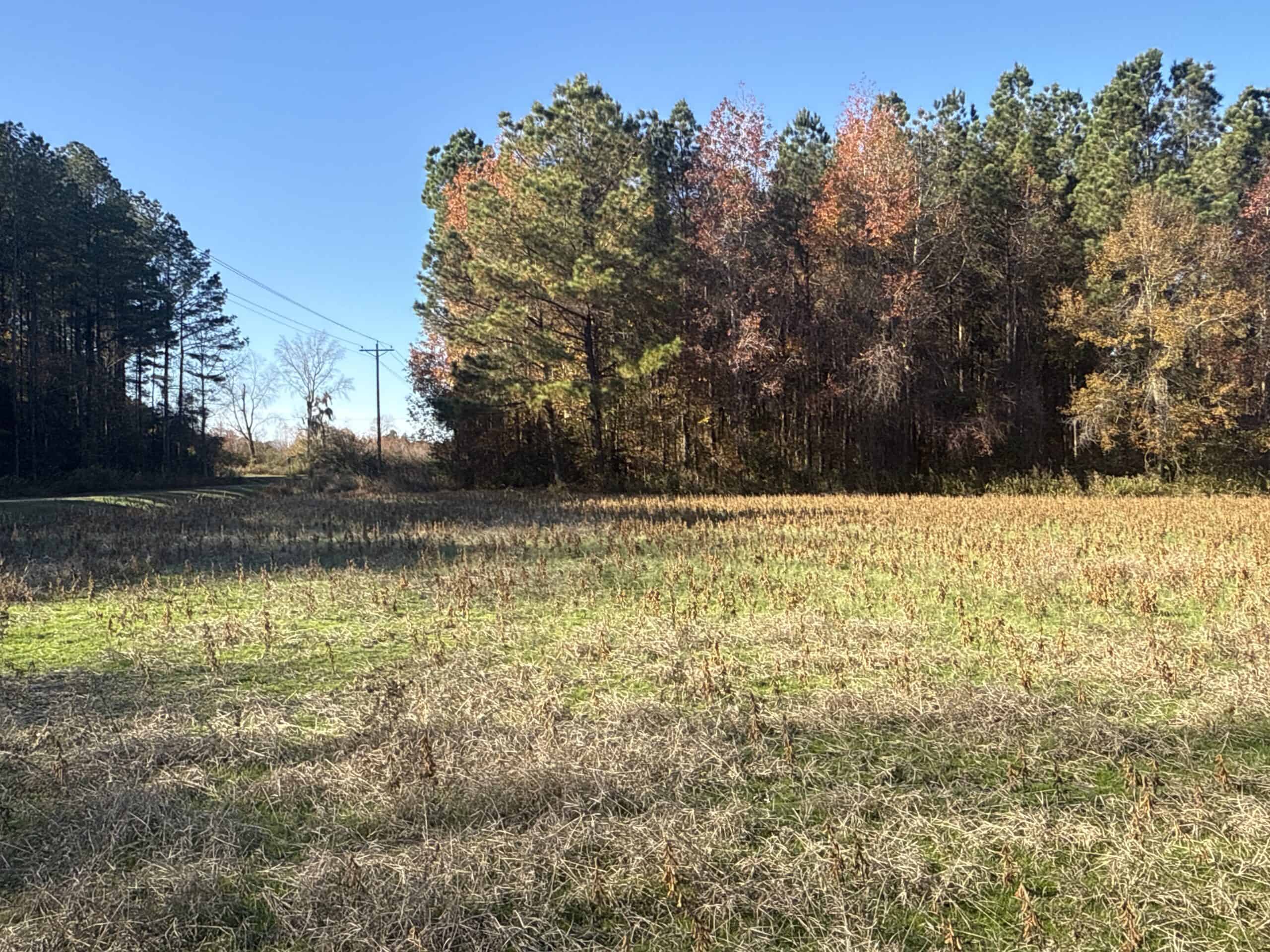 93-Acre Farm & Timber and Hunting Tract Near Washington, NC