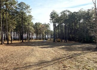 Prime 112-Acre Pungo River Waterfront Land for Sale