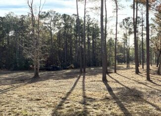 Prime 112-Acre Pungo River Waterfront Land for Sale