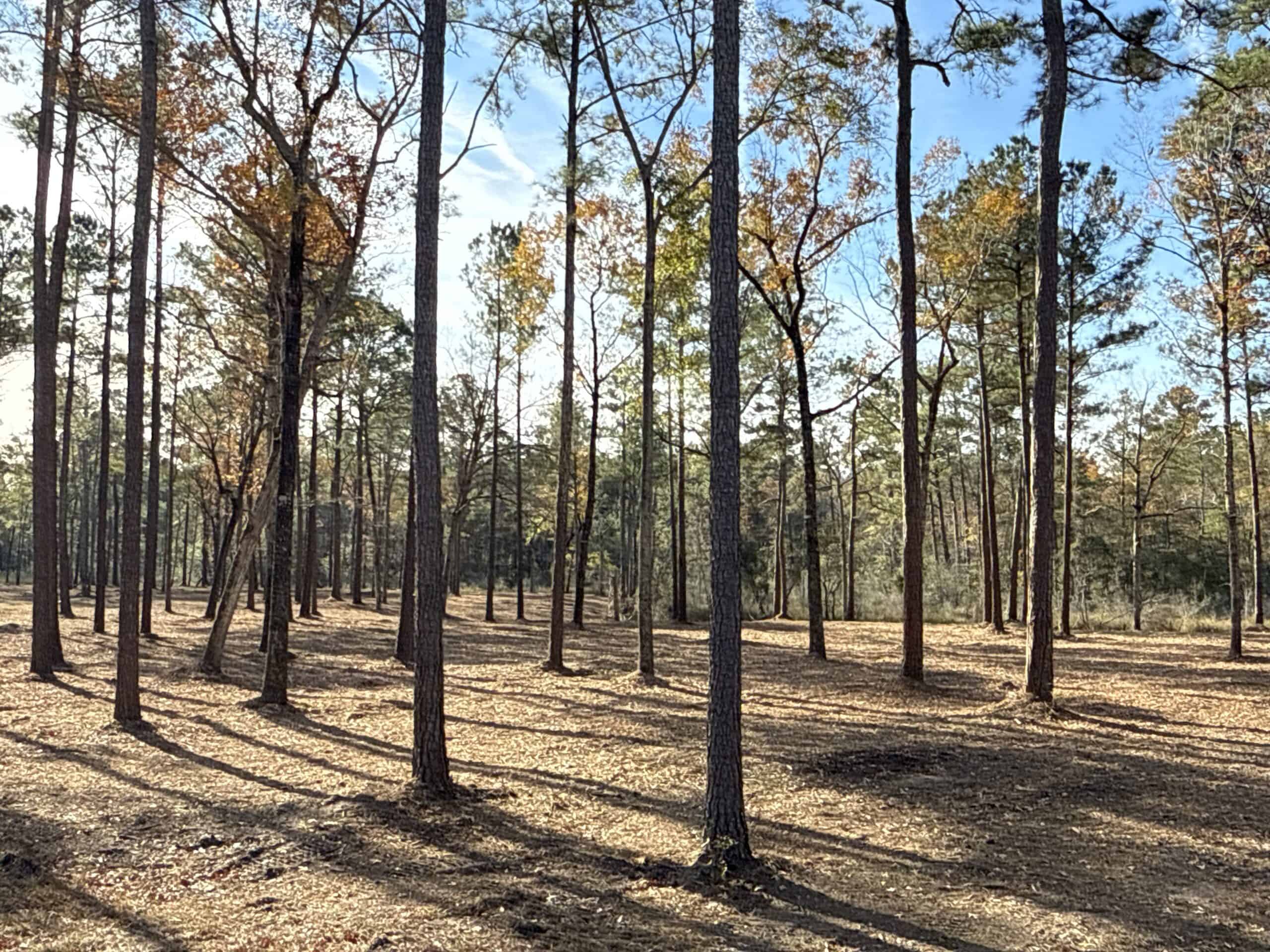 Prime 112-Acre Pungo River Waterfront Land for Sale