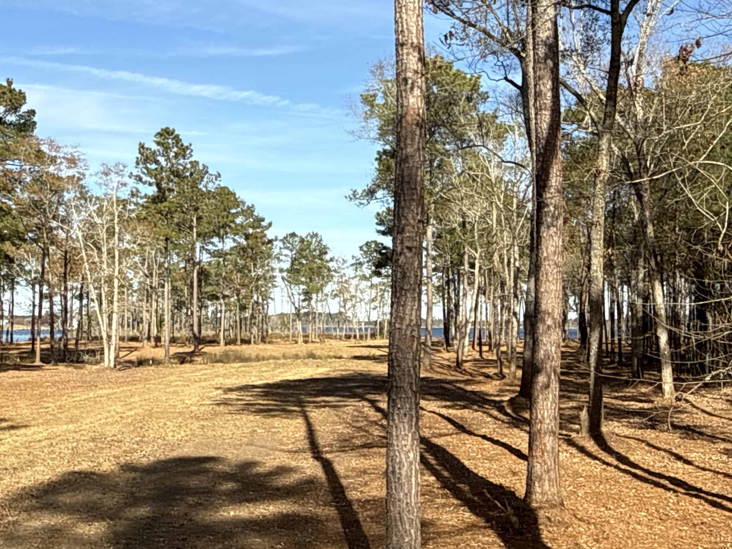 Prime 112-Acre Pungo River Waterfront Land for Sale