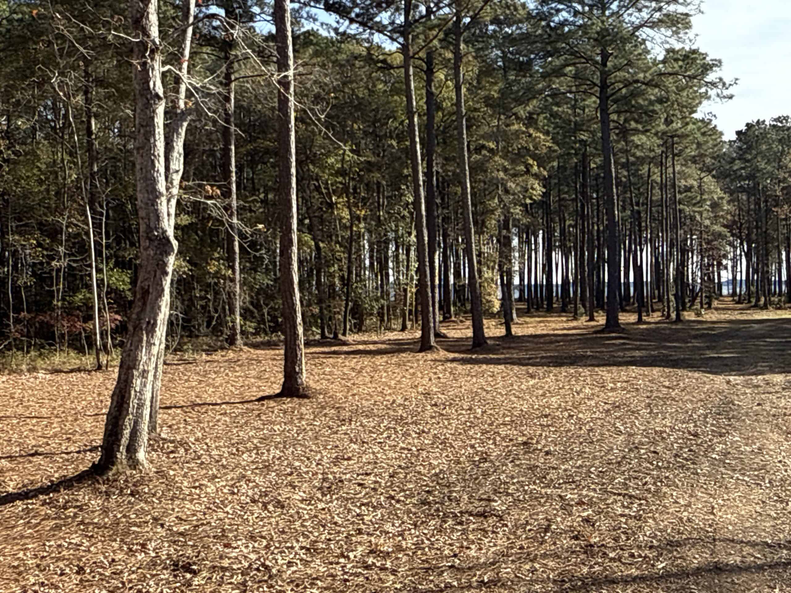 Prime 112-Acre Pungo River Waterfront Land for Sale