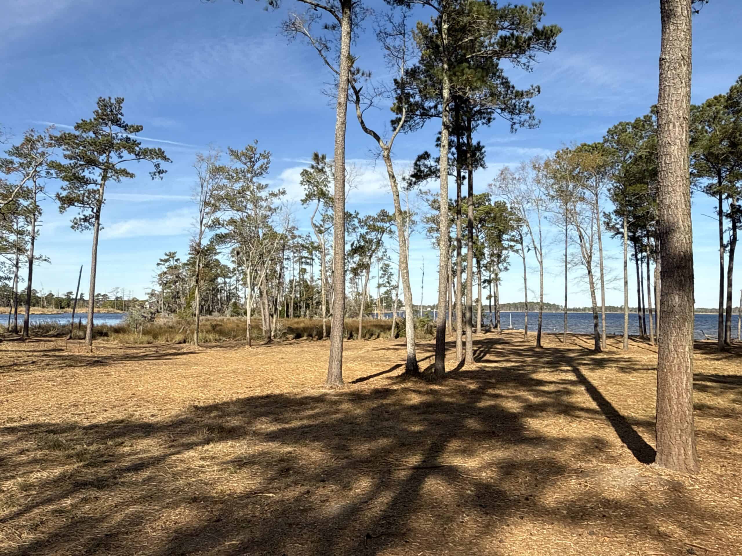 Prime 112-Acre Pungo River Waterfront Land for Sale