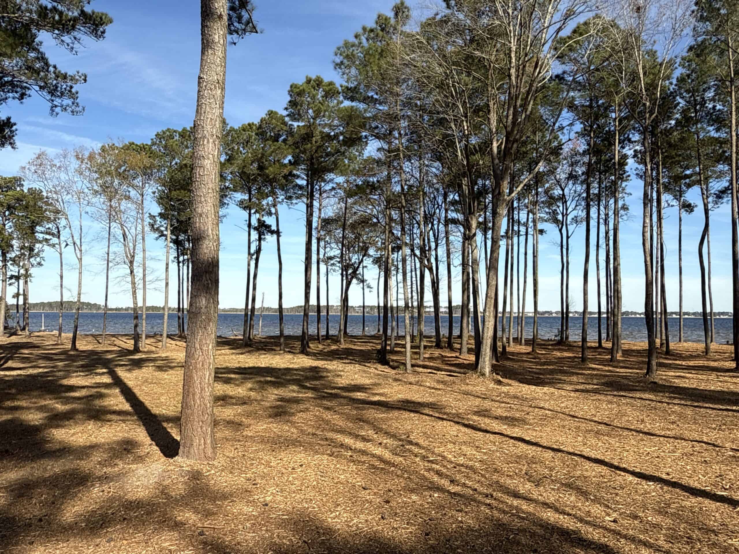 Prime 112-Acre Pungo River Waterfront Land for Sale