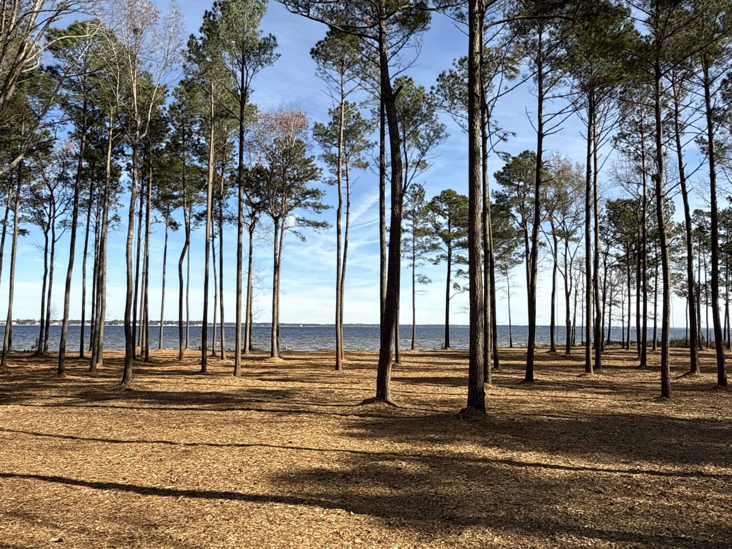 Prime 112-Acre Pungo River Waterfront Land for Sale